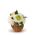 Wicker Mixed Globe