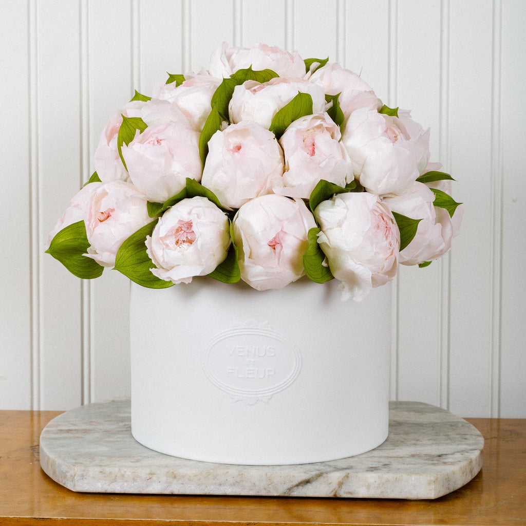 Thalia Porcelain Vase