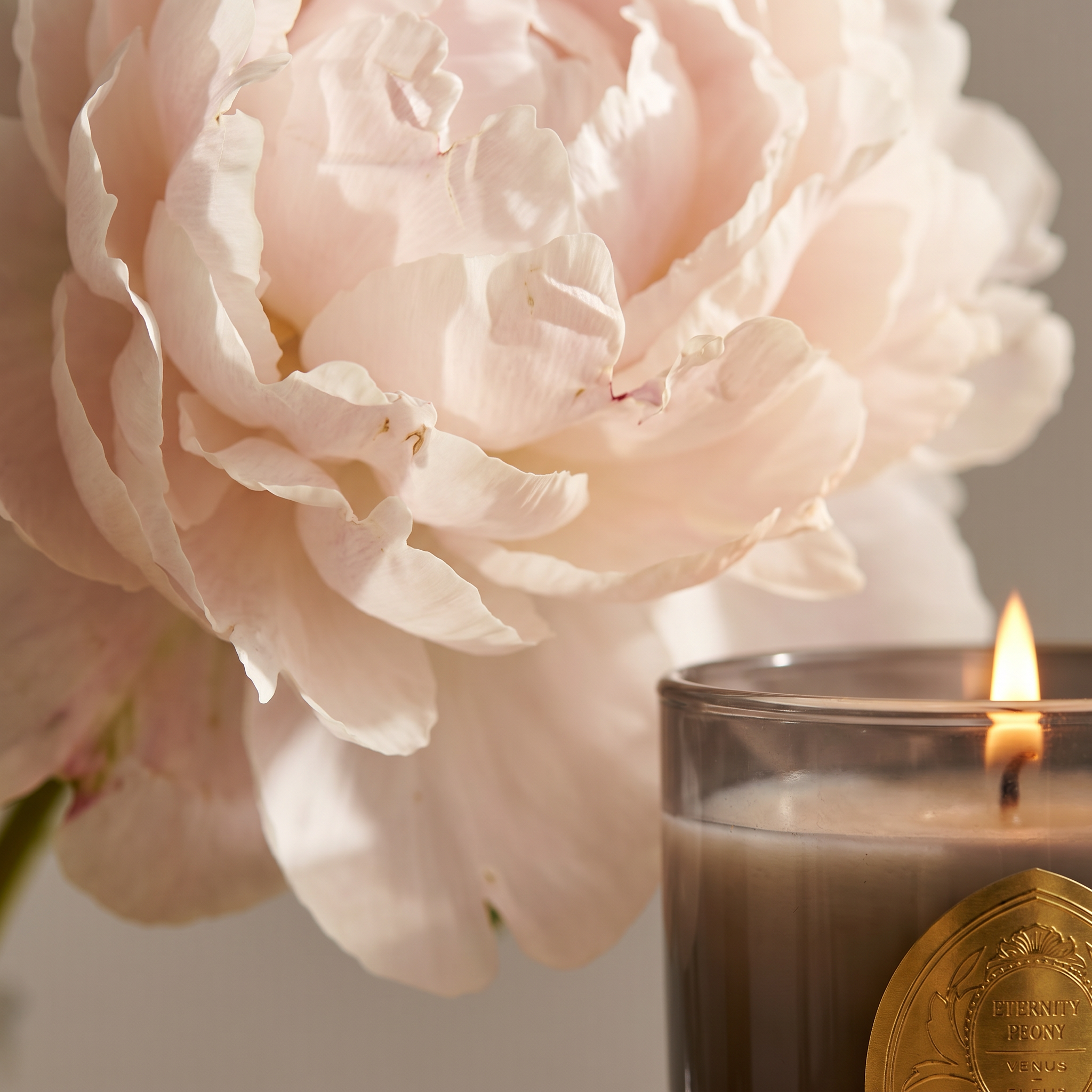 Eternity Peony Candle