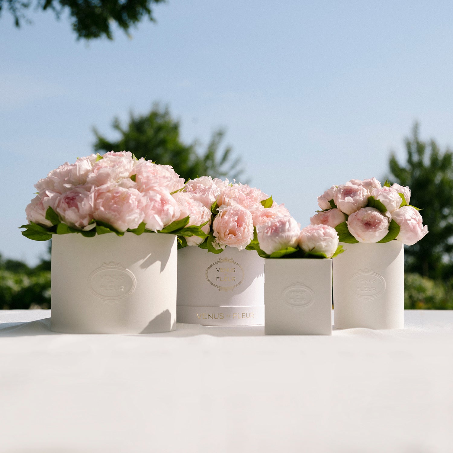 Fleura Porcelain Vase