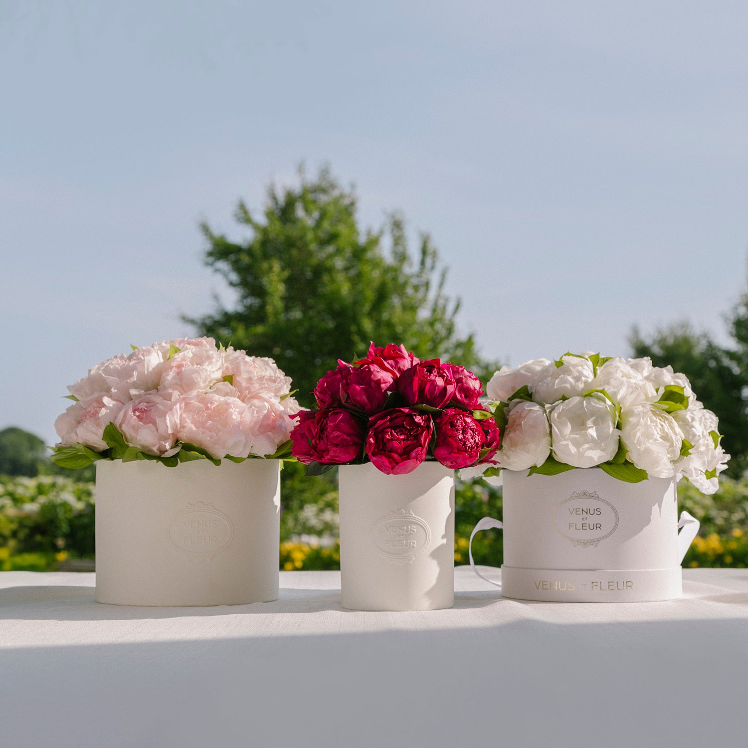Fleura Porcelain Vase
