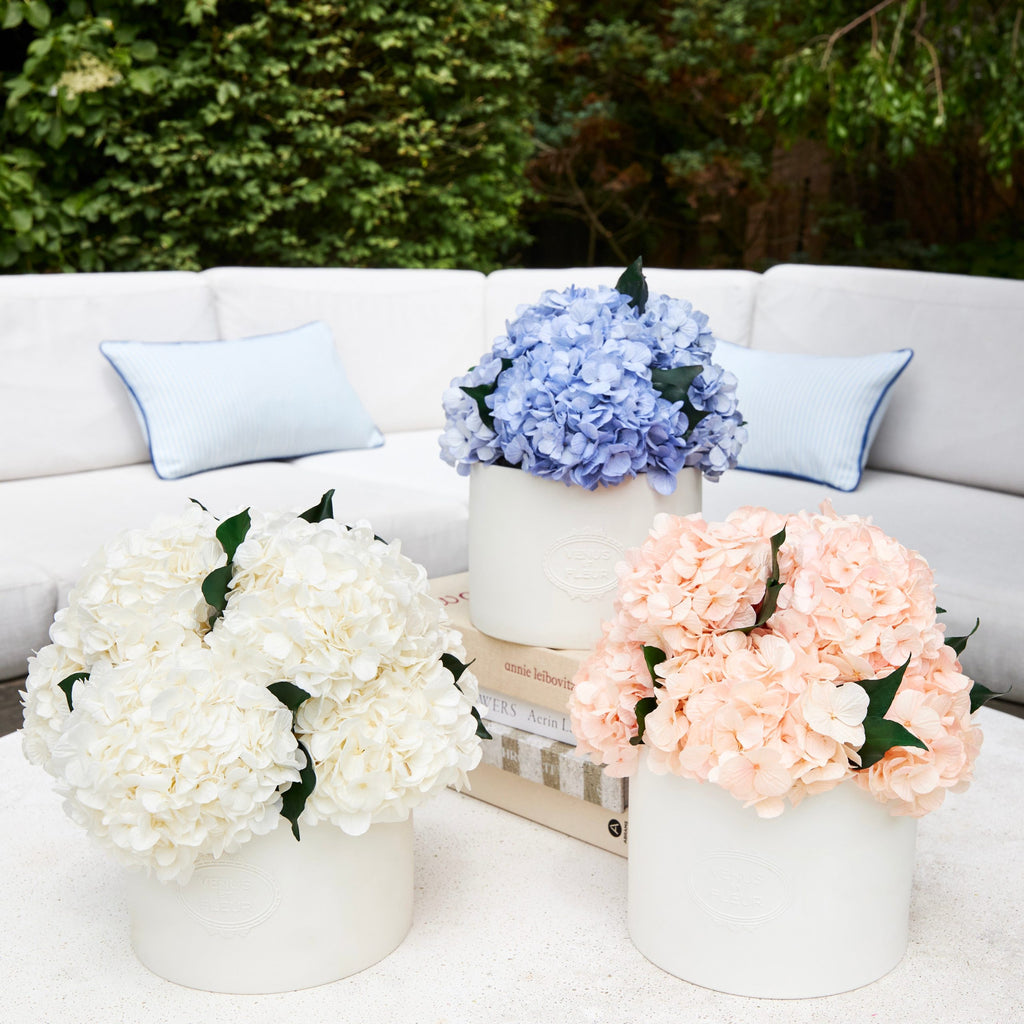 Thalia Porcelain Vase