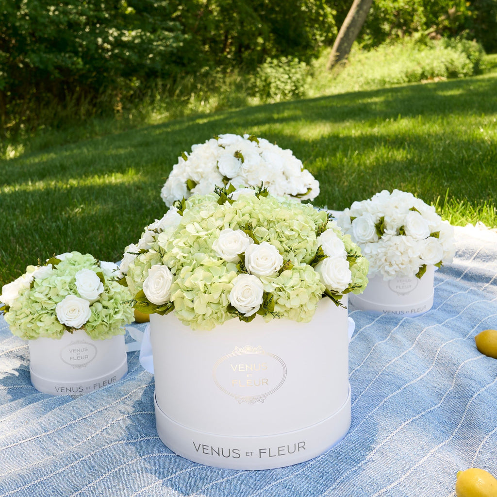 Large Round Roses & Hydrangeas