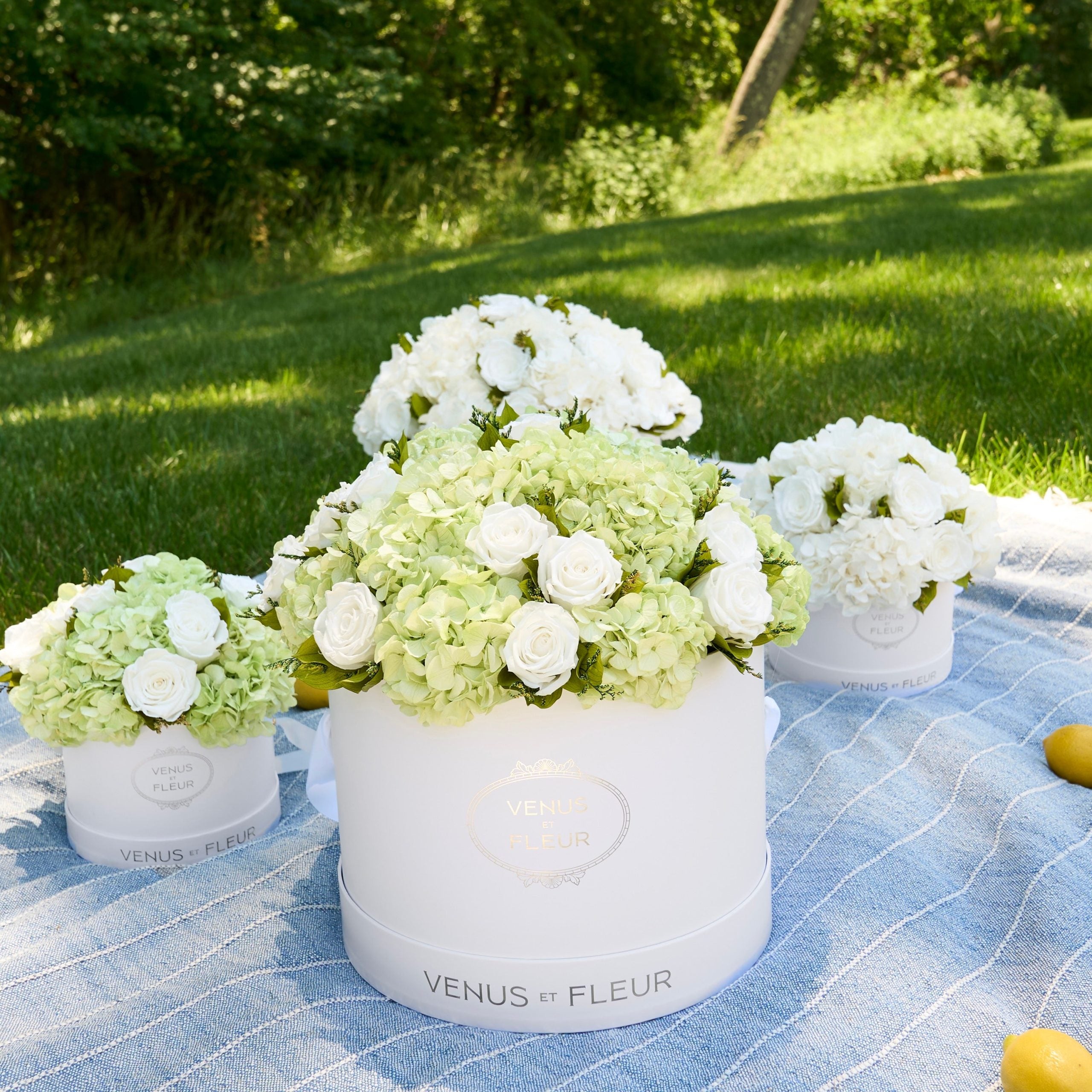 Large Round Roses & Hydrangeas