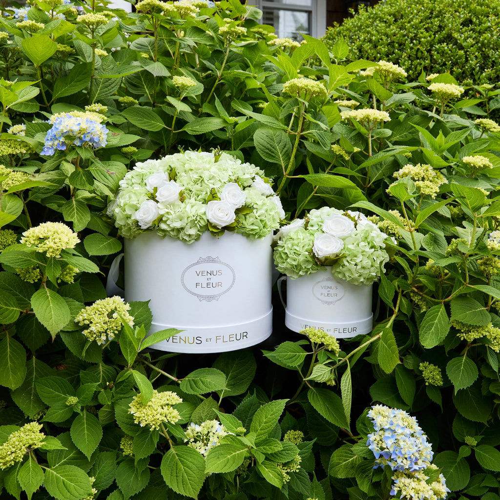 Large Round Roses & Hydrangeas