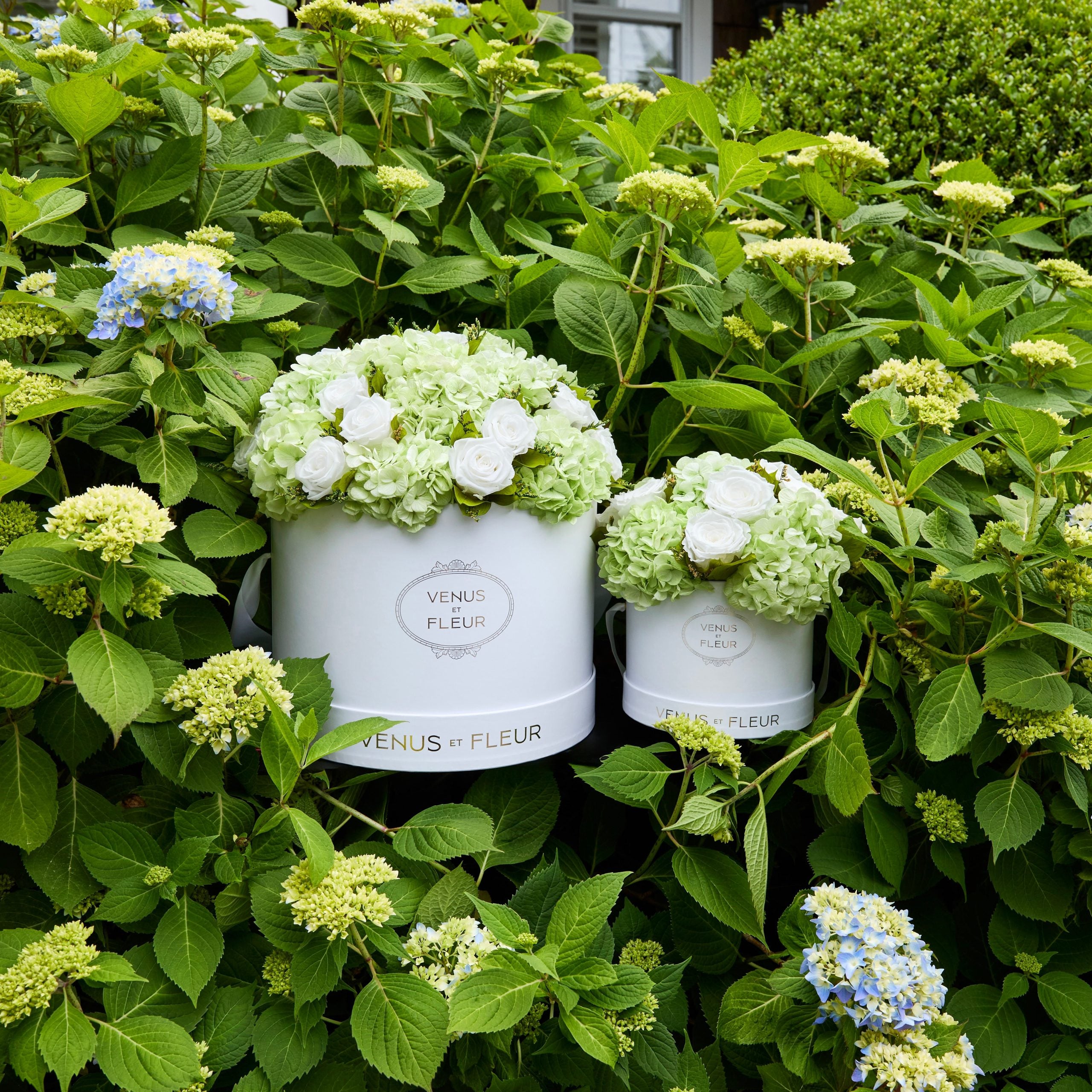 Large Round Roses & Hydrangeas