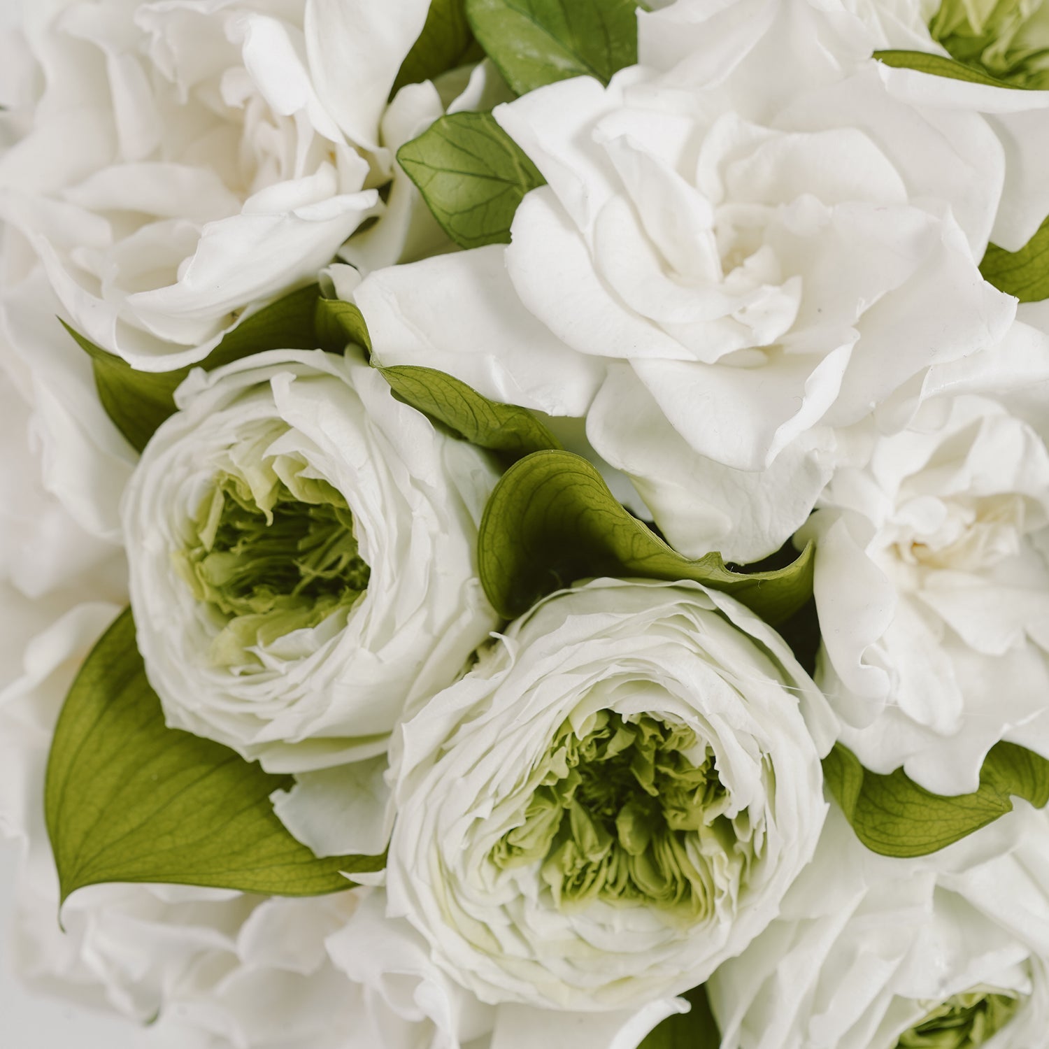 Fleura Porcelain Vase