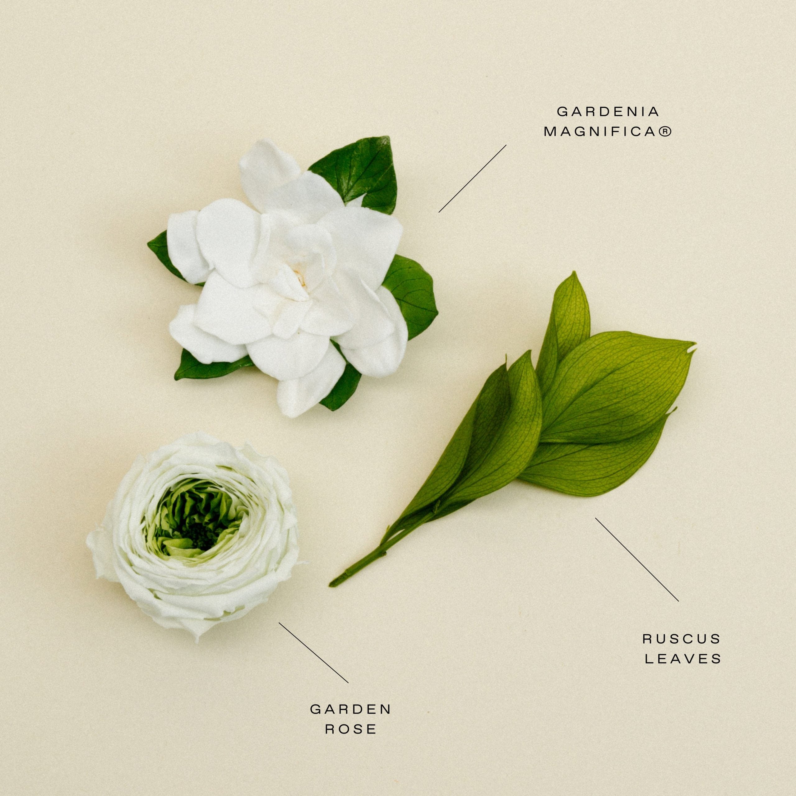 Fleura Porcelain Vase