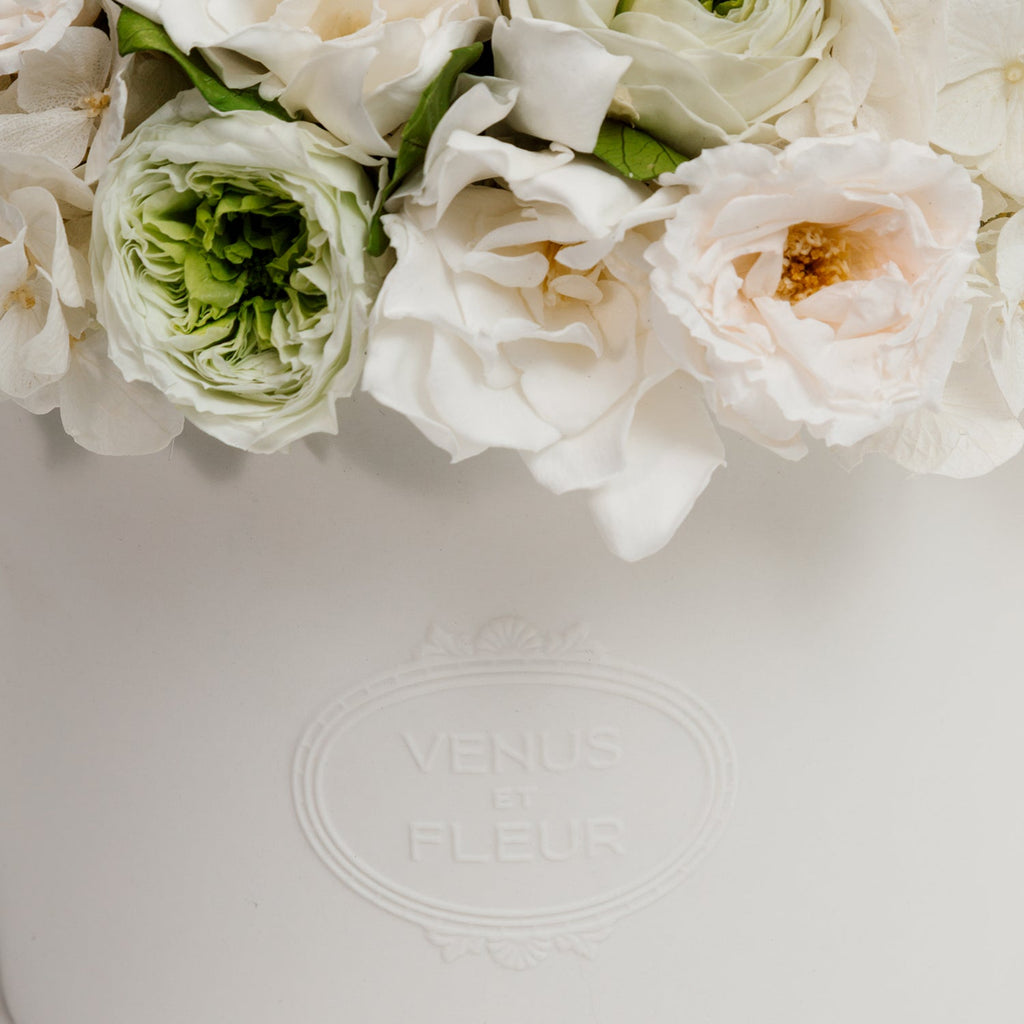 Thalia Porcelain Vase