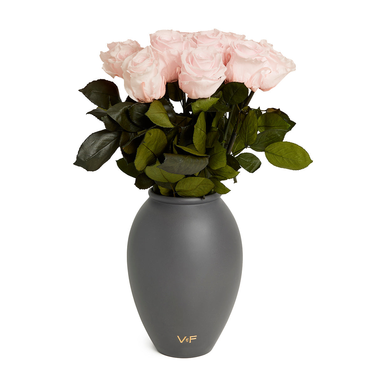 Amphora Porcelain Vase
