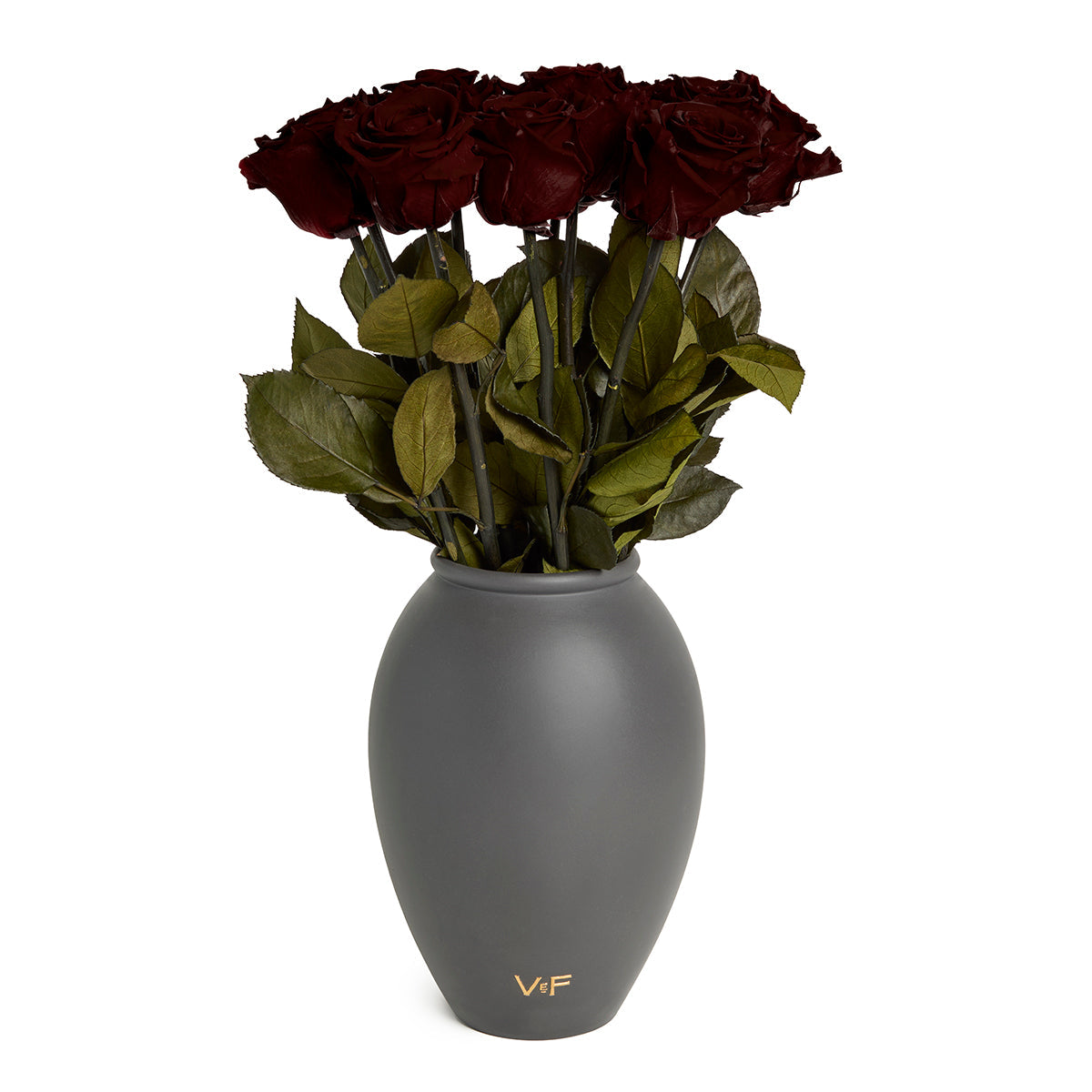 Amphora Porcelain Vase