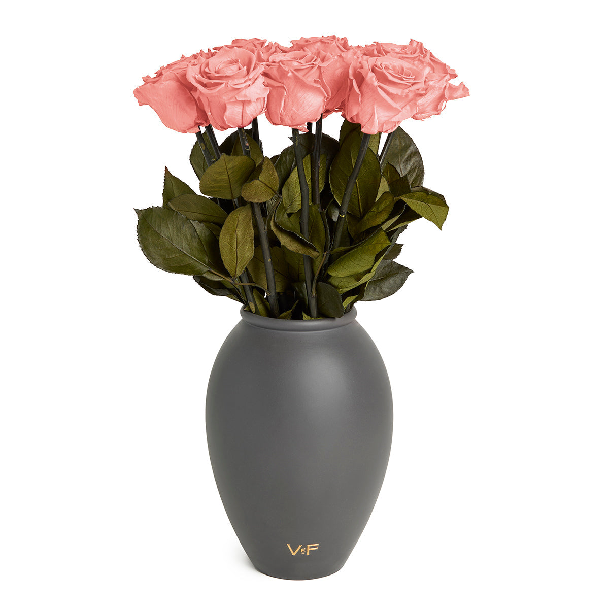 Amphora Porcelain Vase