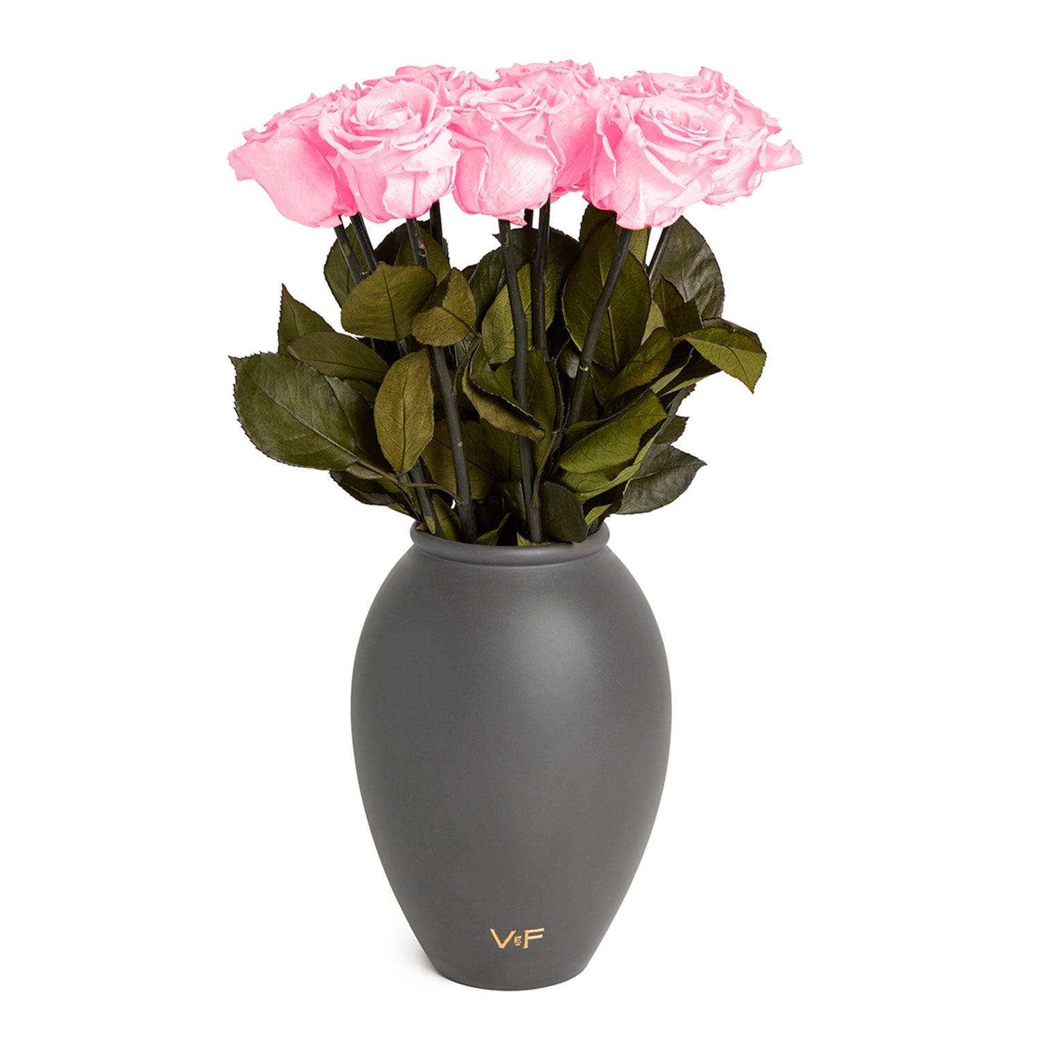 Amphora Porcelain Vase