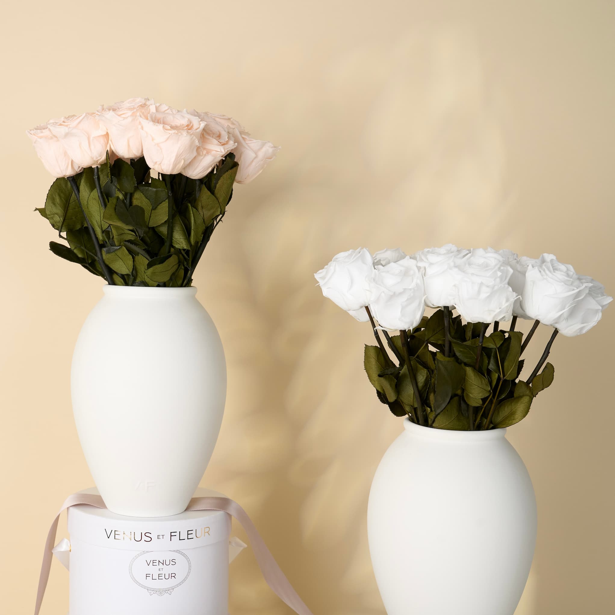 Amphora Porcelain Vase