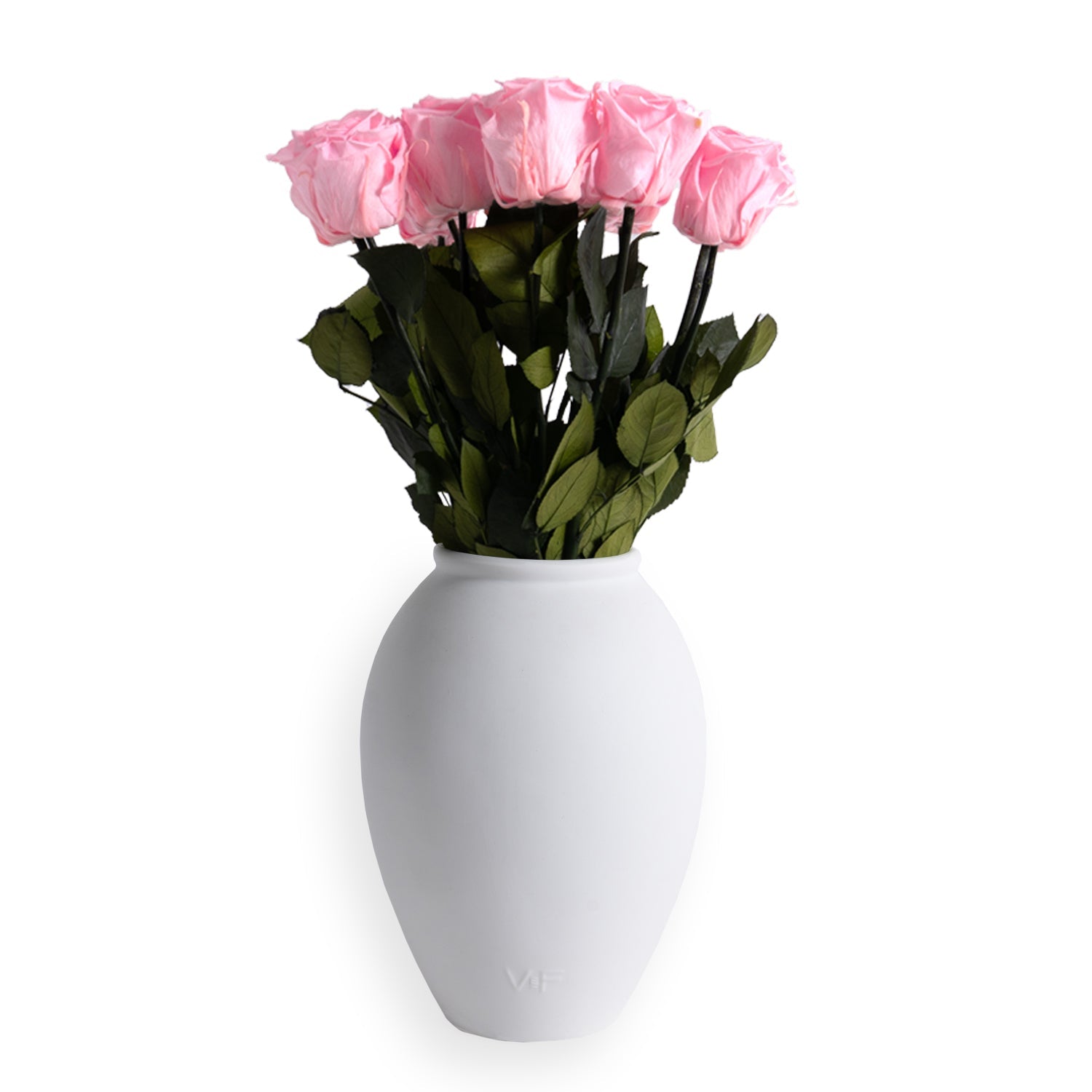 Amphora Porcelain Vase