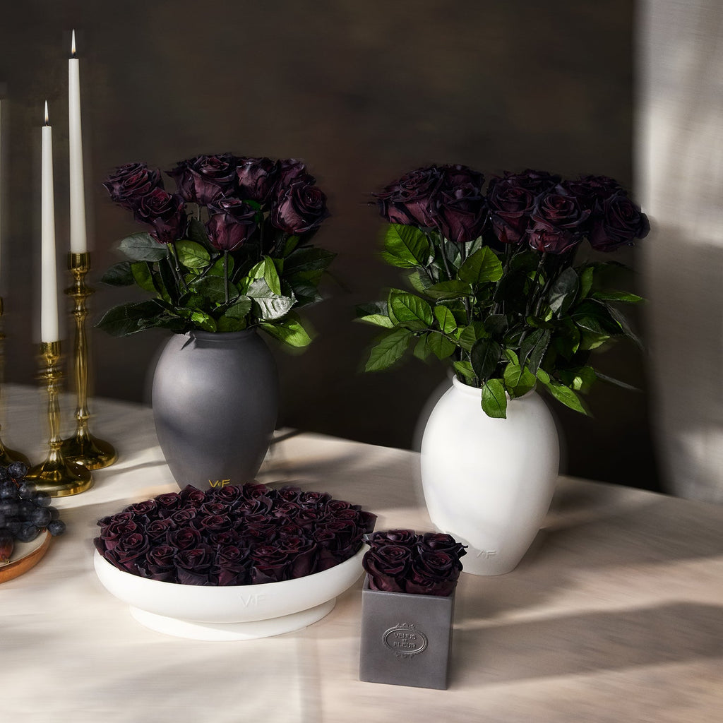 Amphora Porcelain Vase