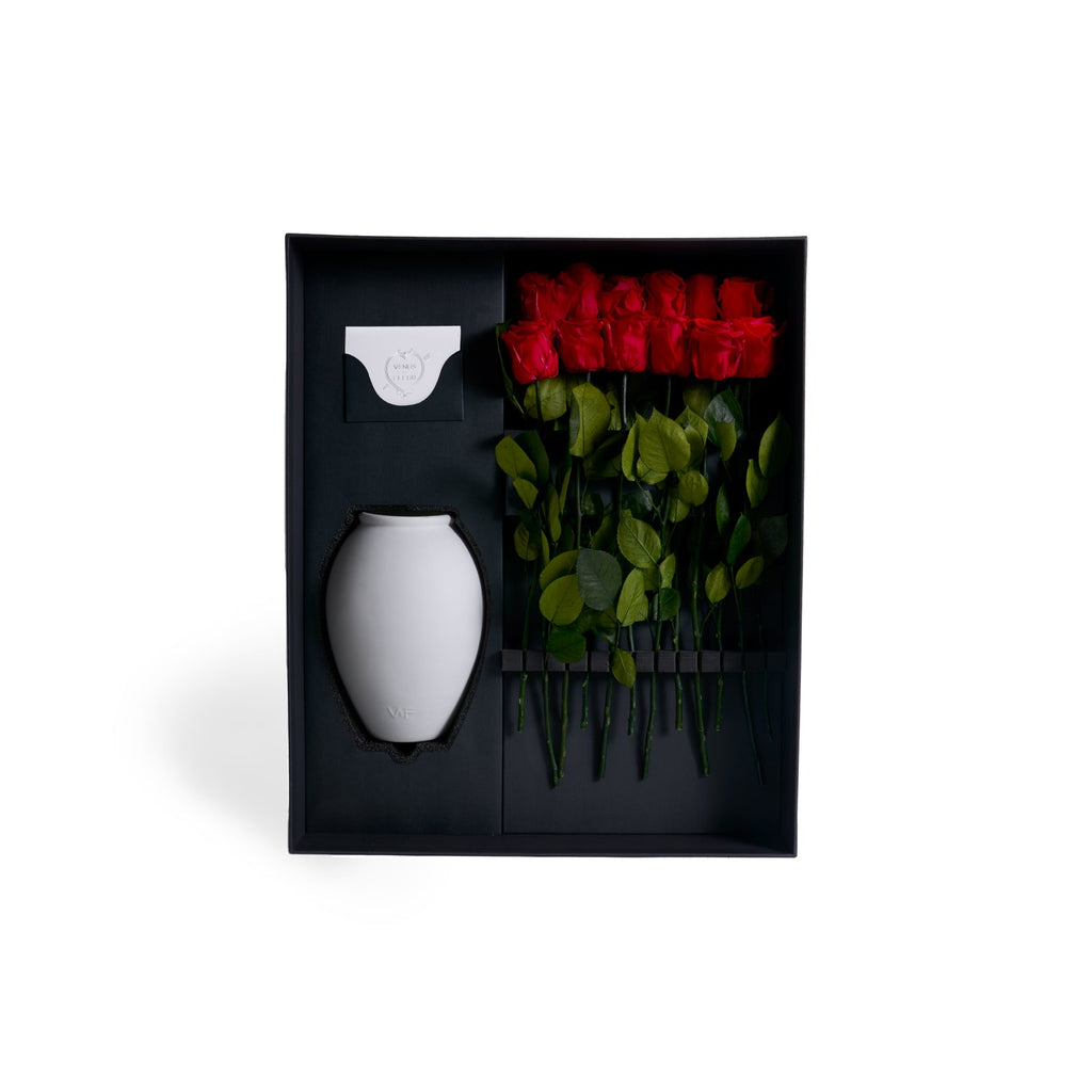 Amphora Porcelain Vase