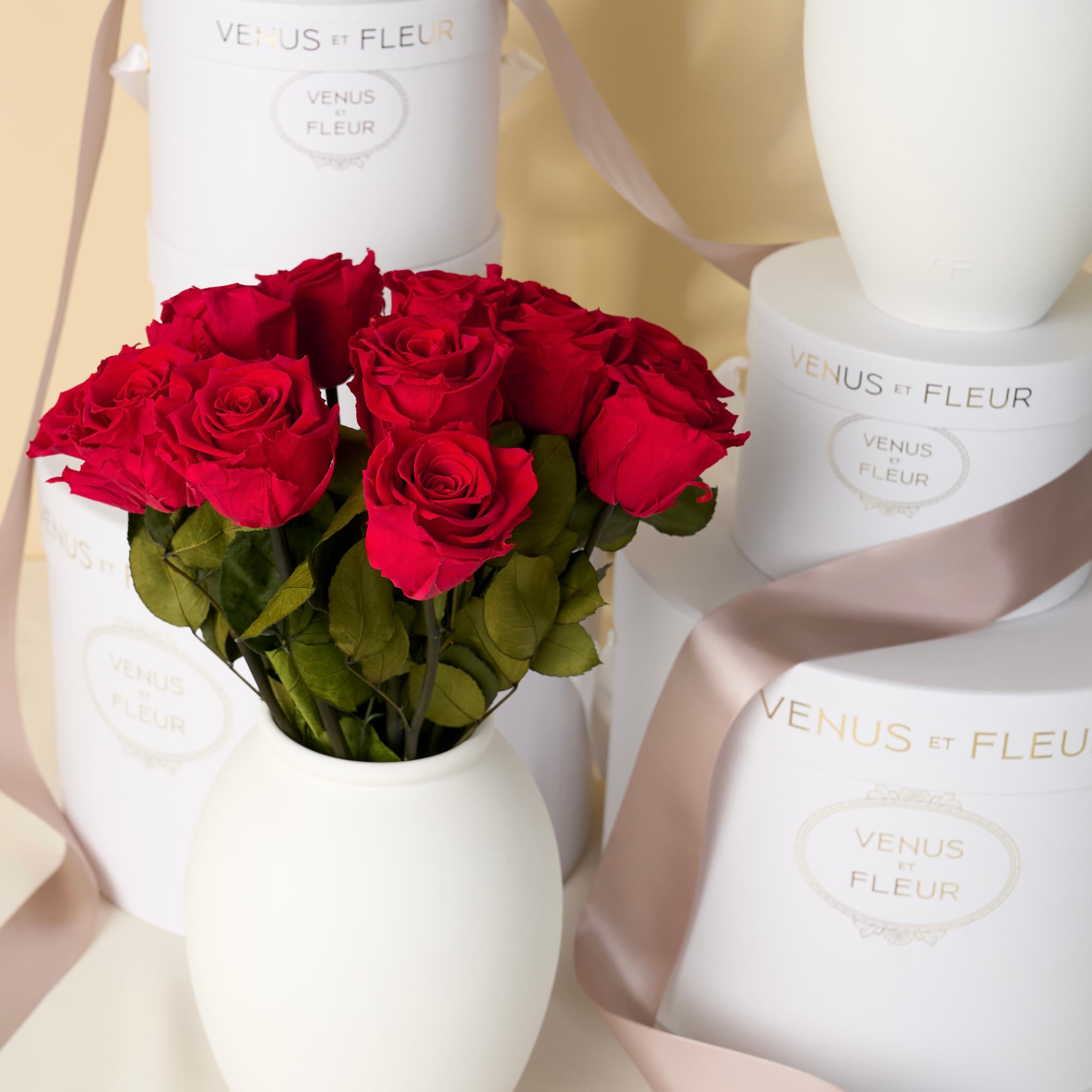 Amphora Porcelain Vase