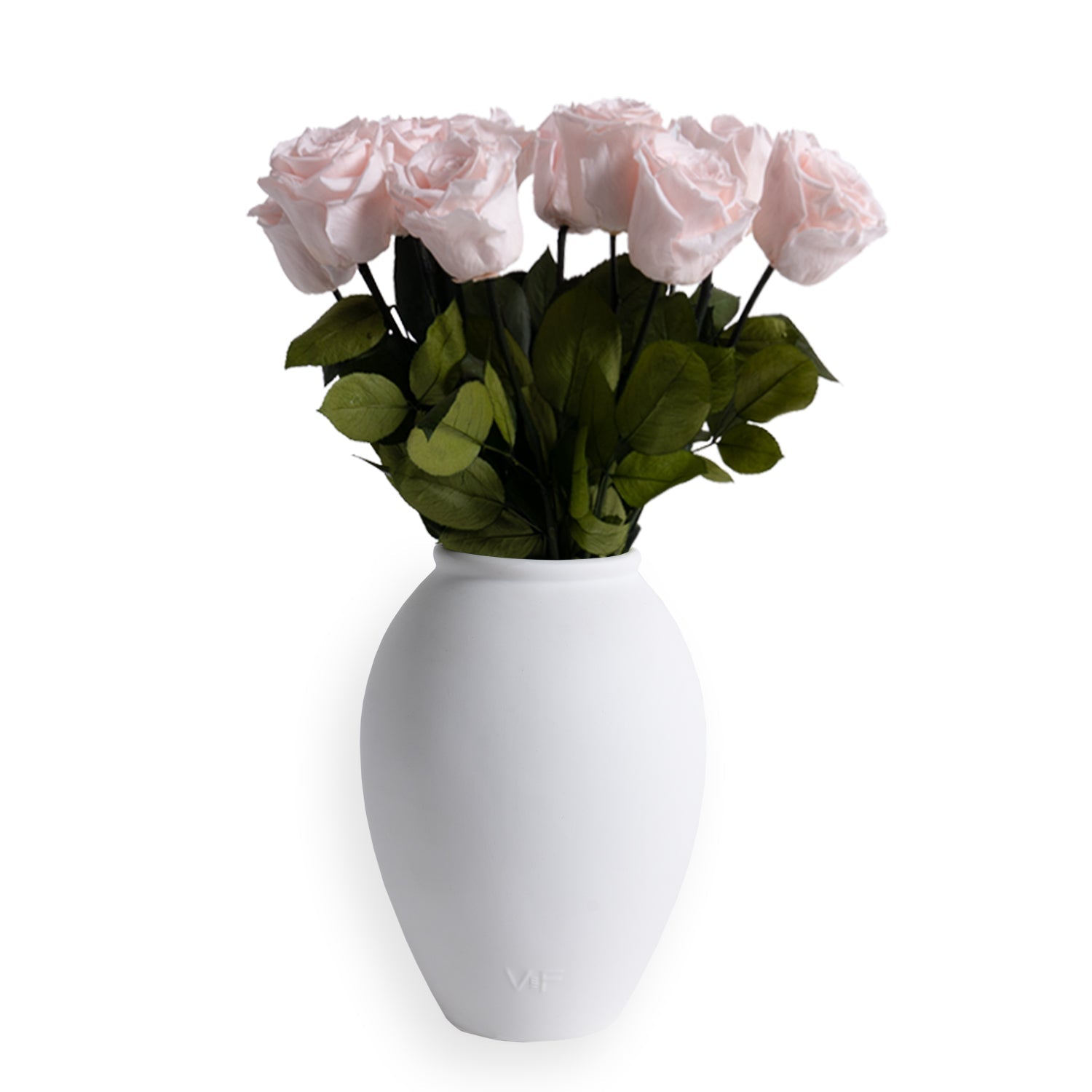 Amphora Porcelain Vase