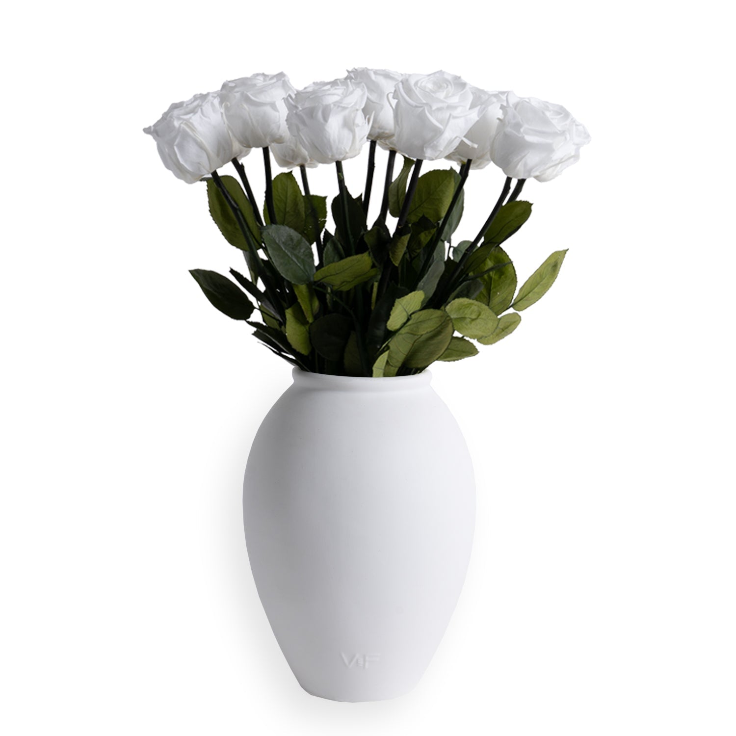 Amphora Porcelain Vase