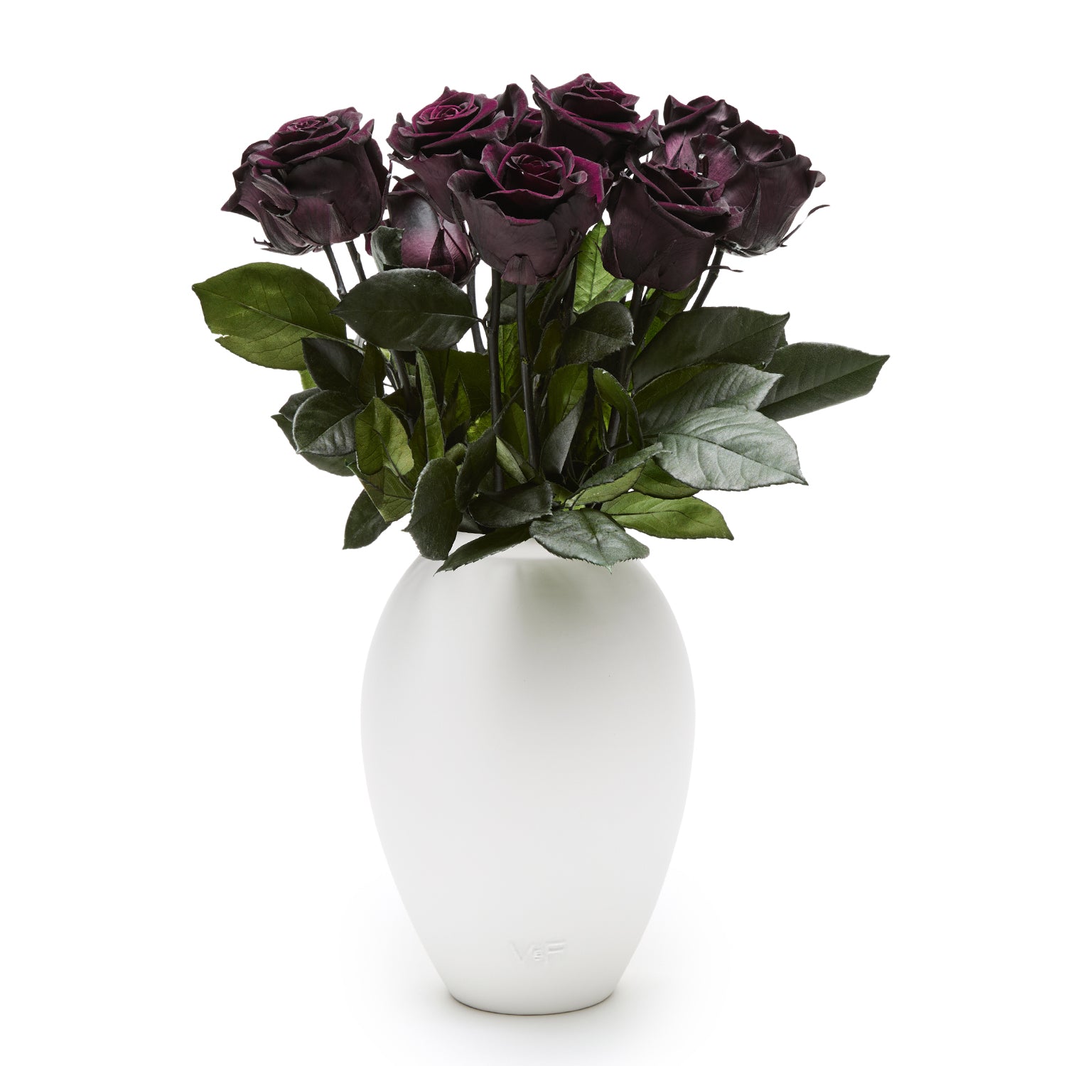 Amphora Porcelain Vase