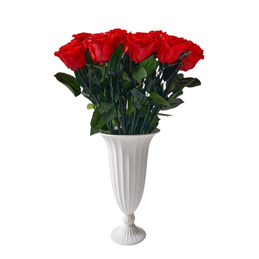 Aphrodite Porcelain Vase Arrangement, One Dozen