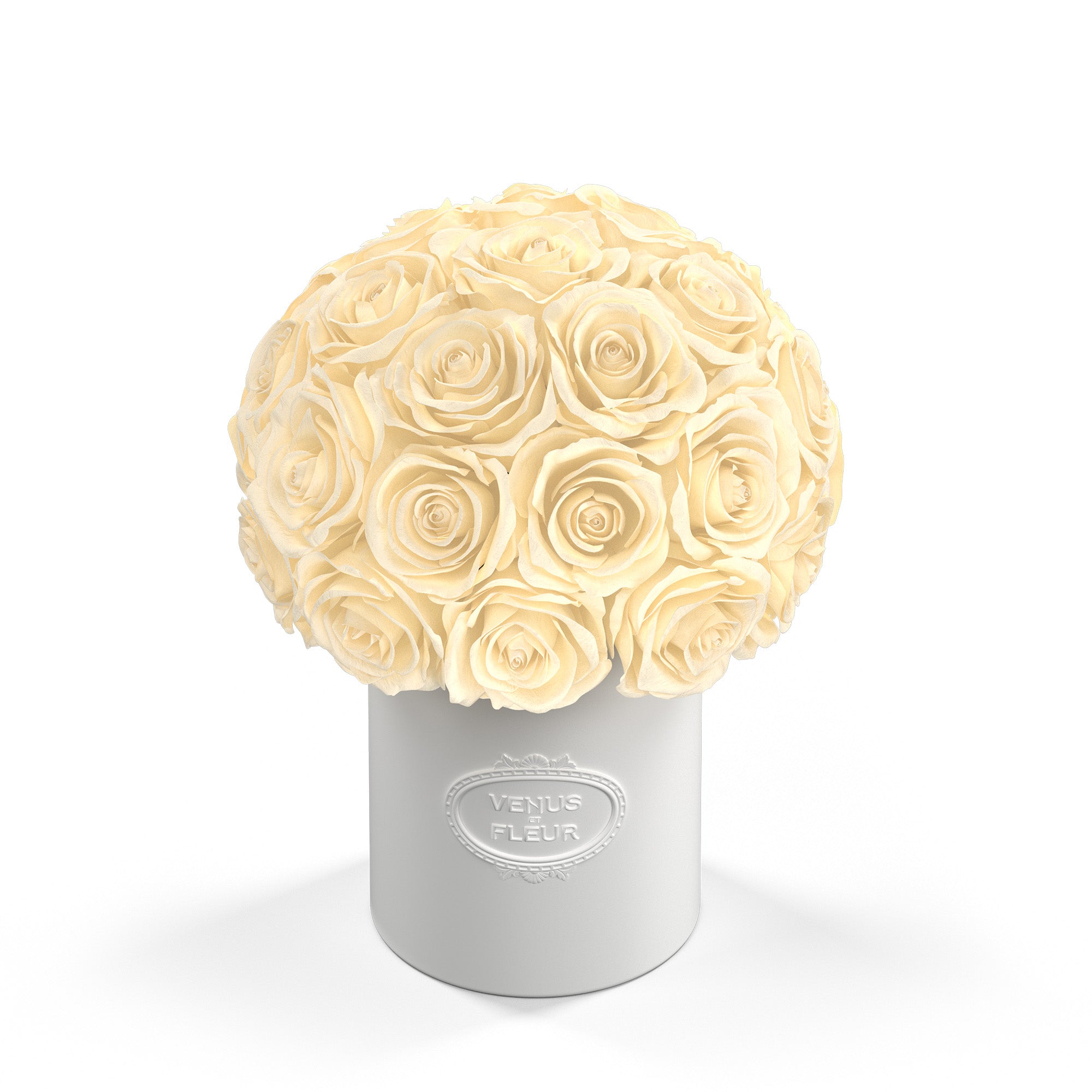 Fleura Porcelain Vase