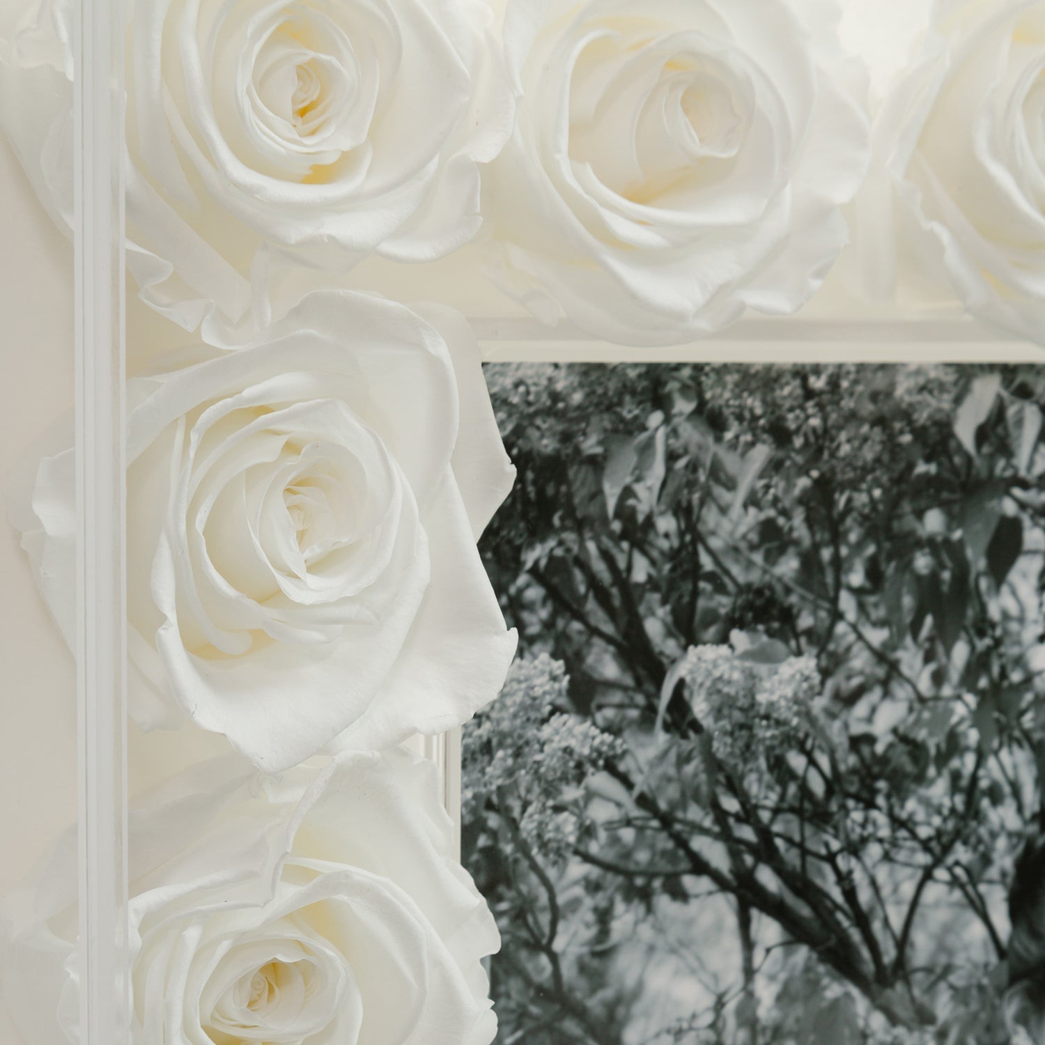 Grand Fleur Frame