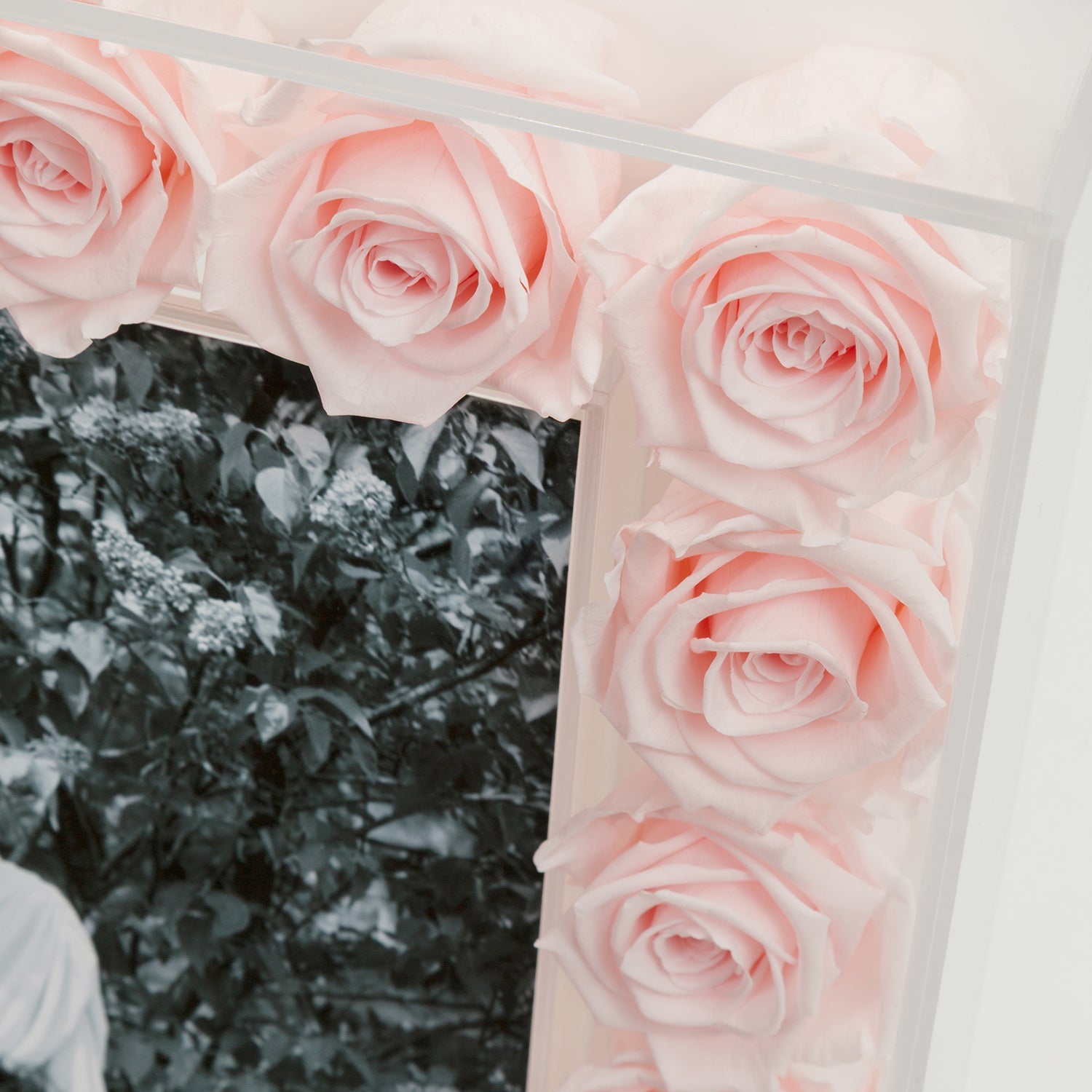 Grand Fleur Frame