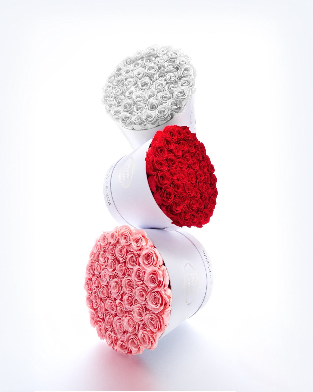 Large Round