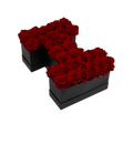 Le Grand Letter - I
