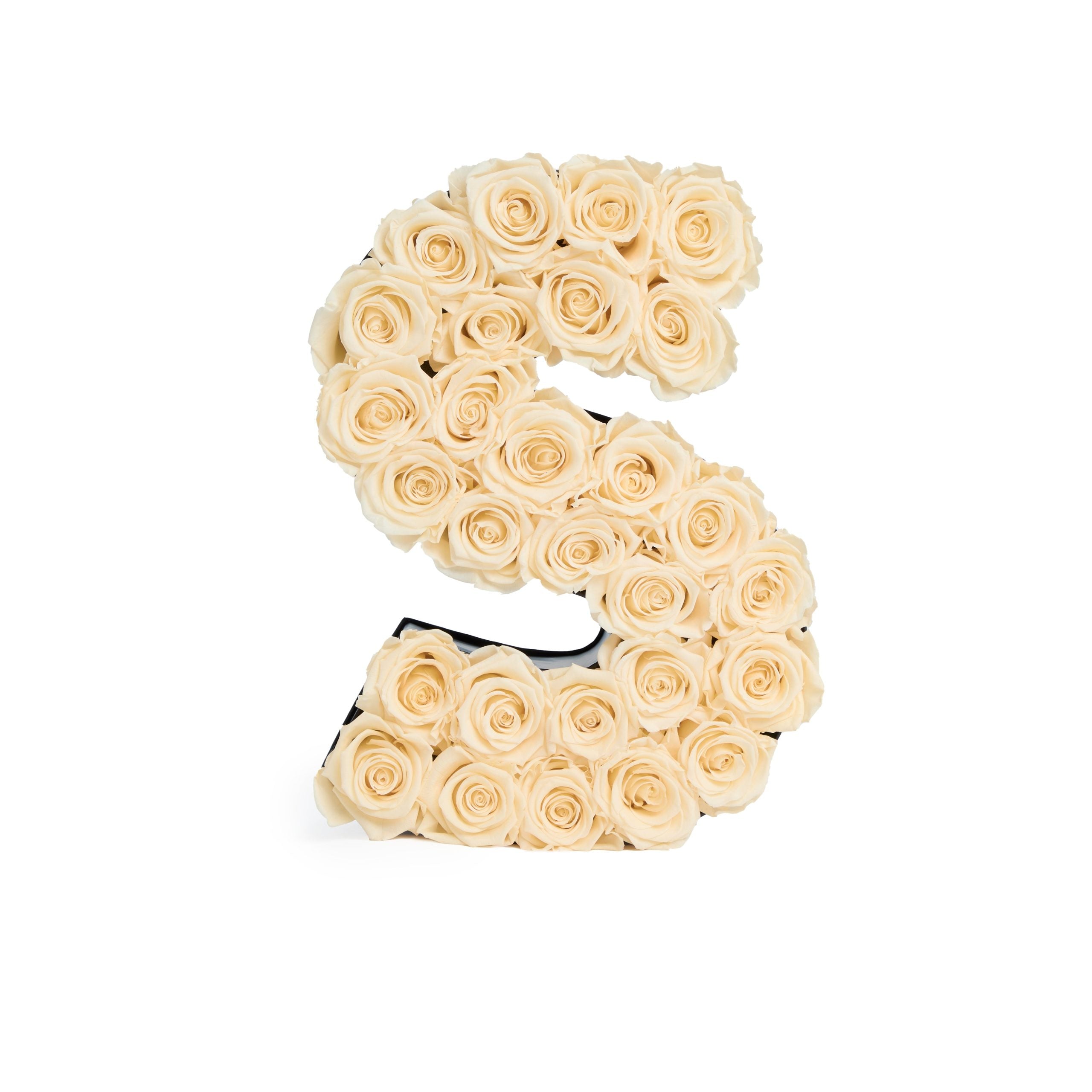Le Grand Letter - S
