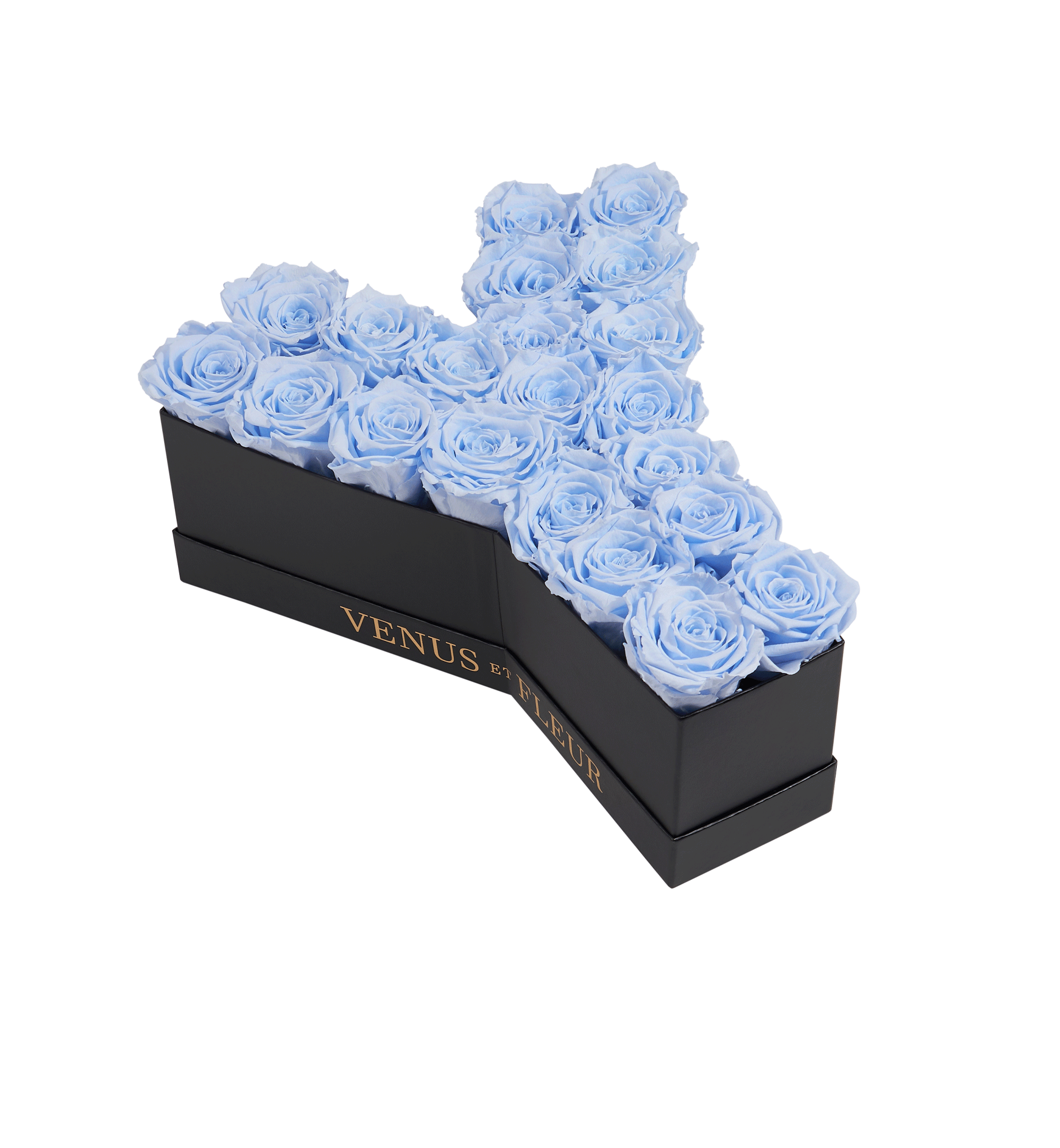 Le Grand Letter - Y