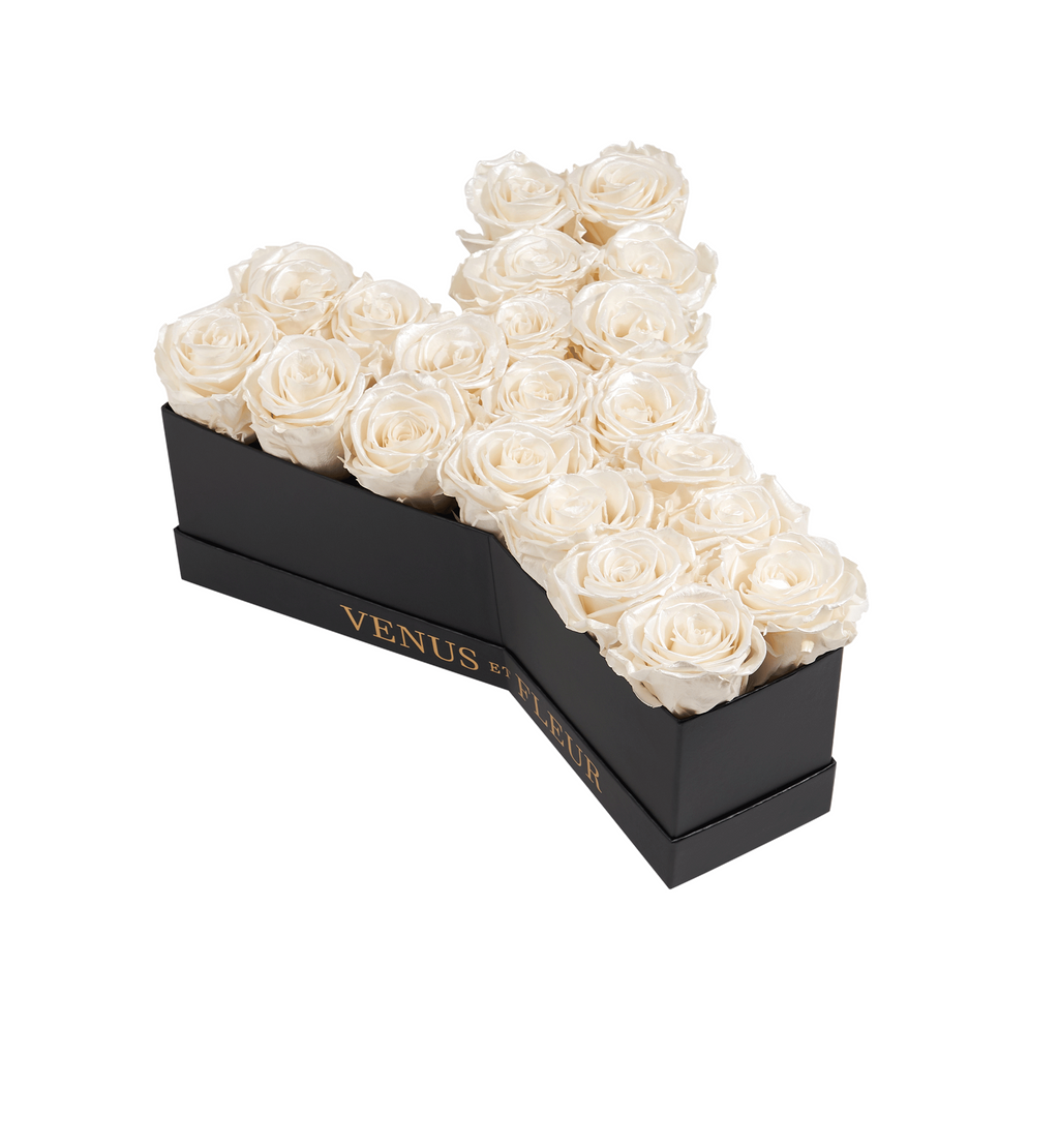 Le Grand Letter - Y