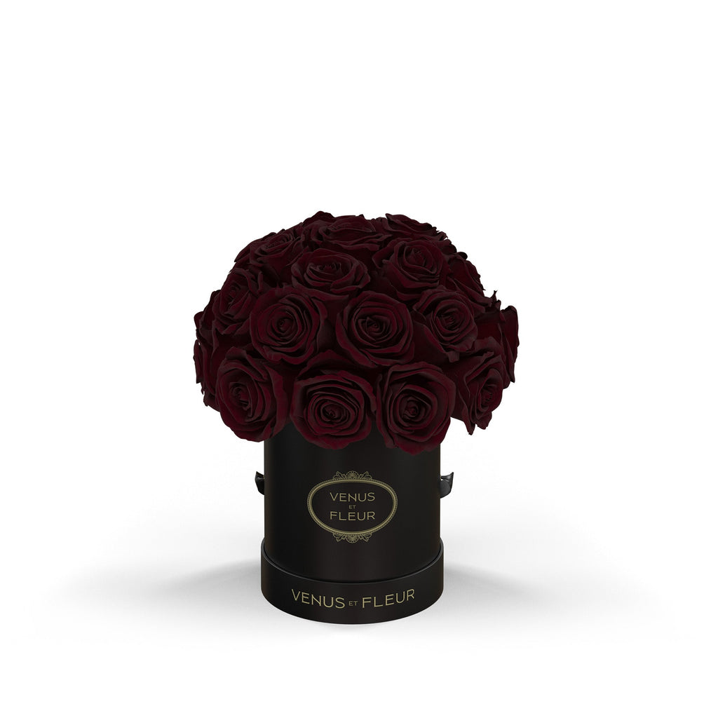 Mini Le Plein