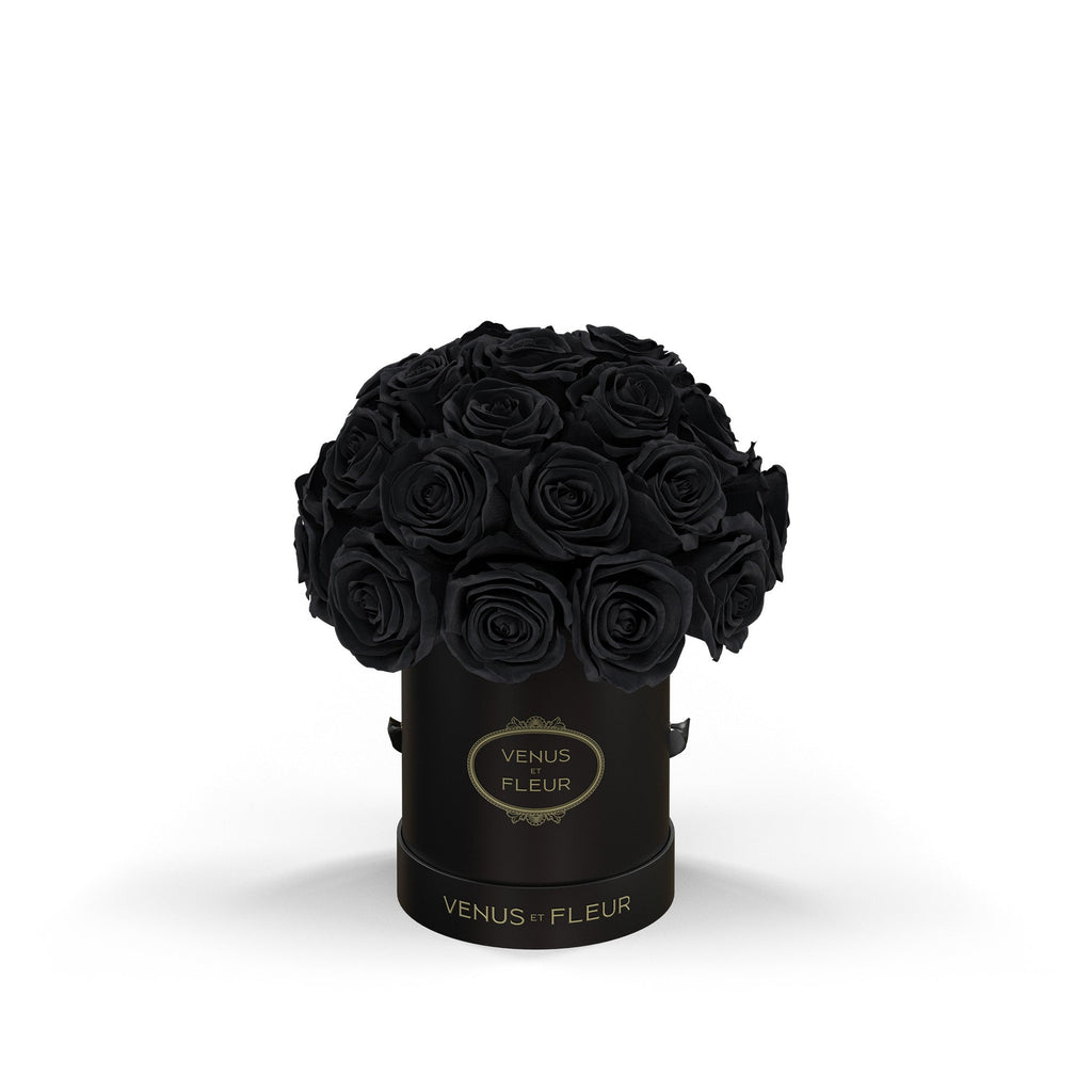Mini Le Plein