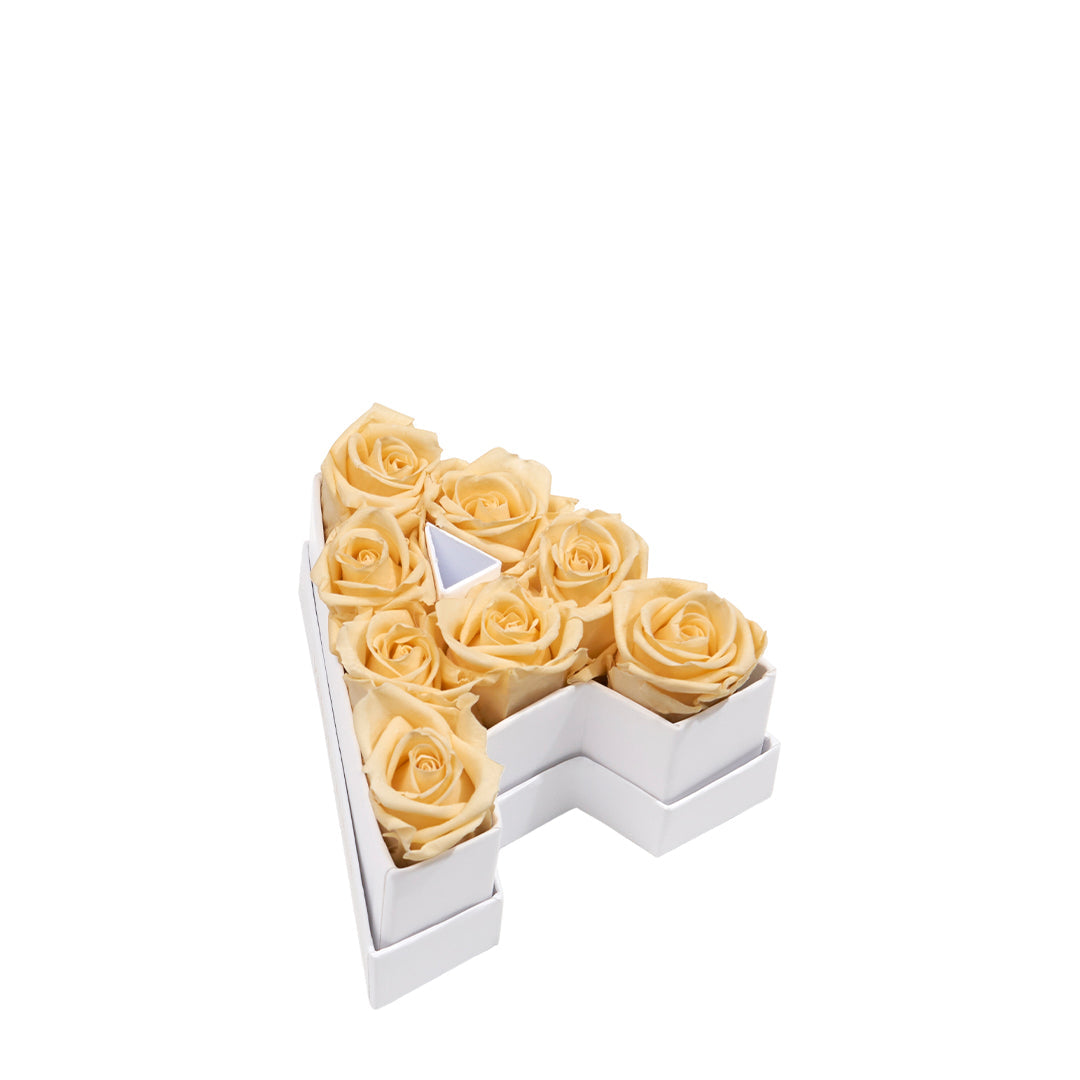 Le Mini Letter - A