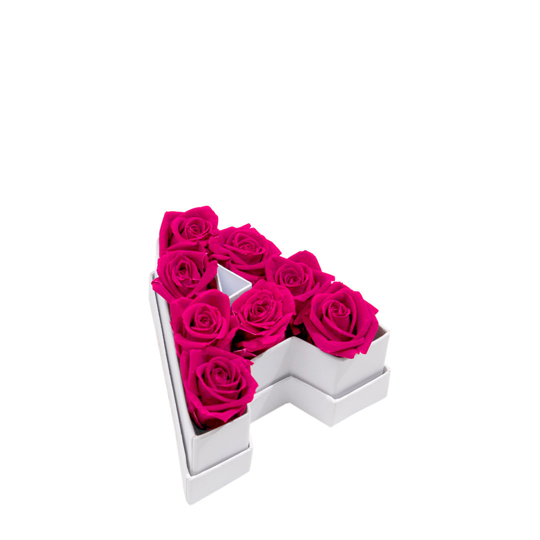 Le Mini Letter - A