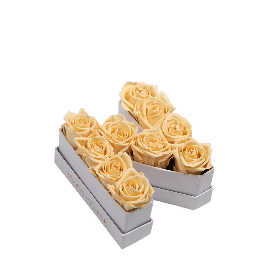 Le Mini Letter - N