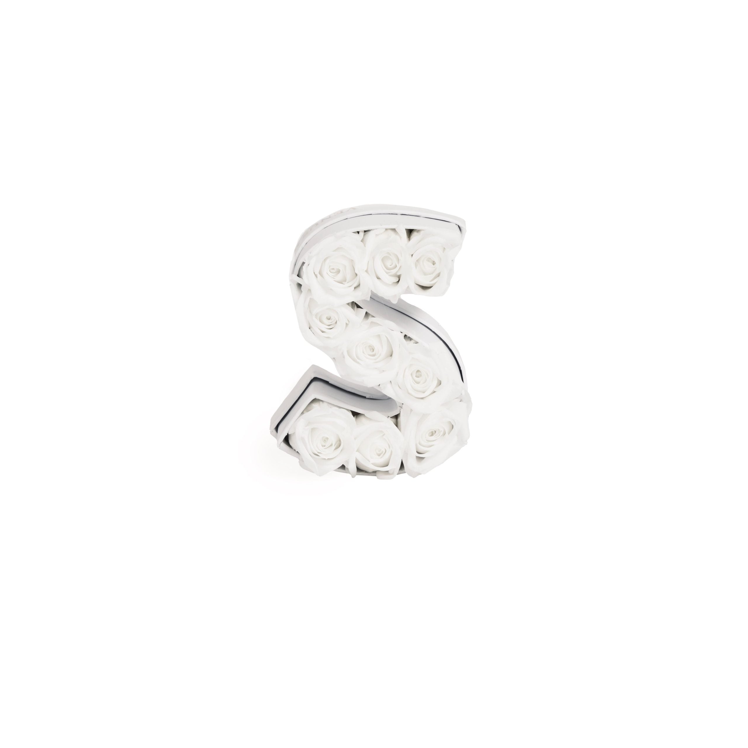 Le Mini Letter - S