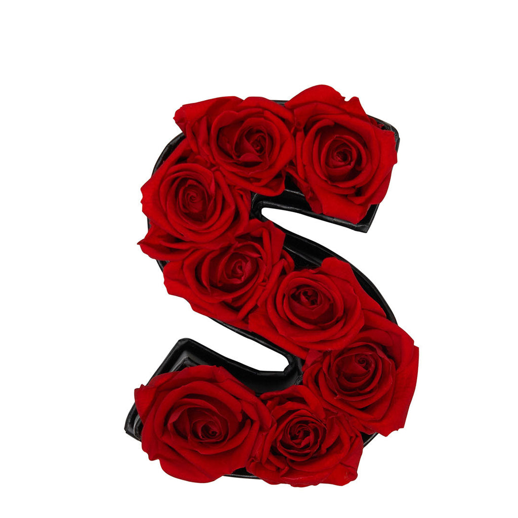 Le Mini Letter - S