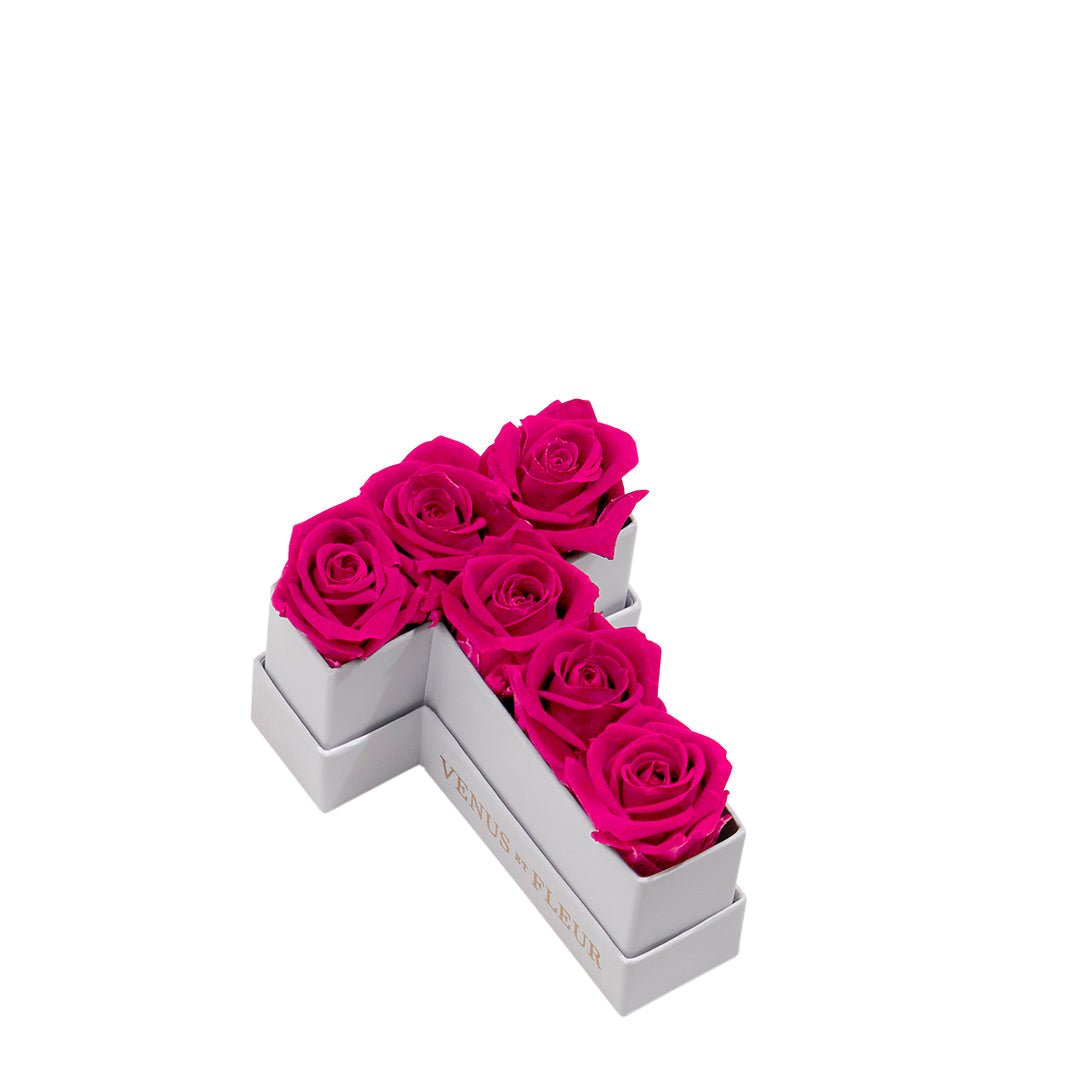 Le Mini Letter - T