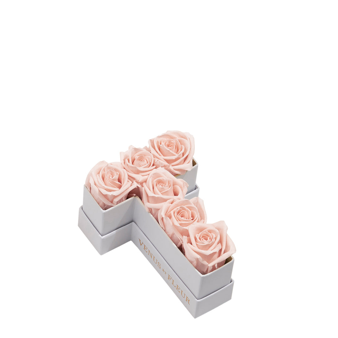 Le Mini Letter - T