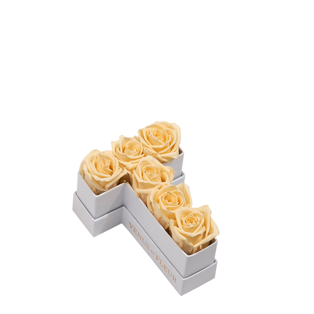Le Mini Letter - T