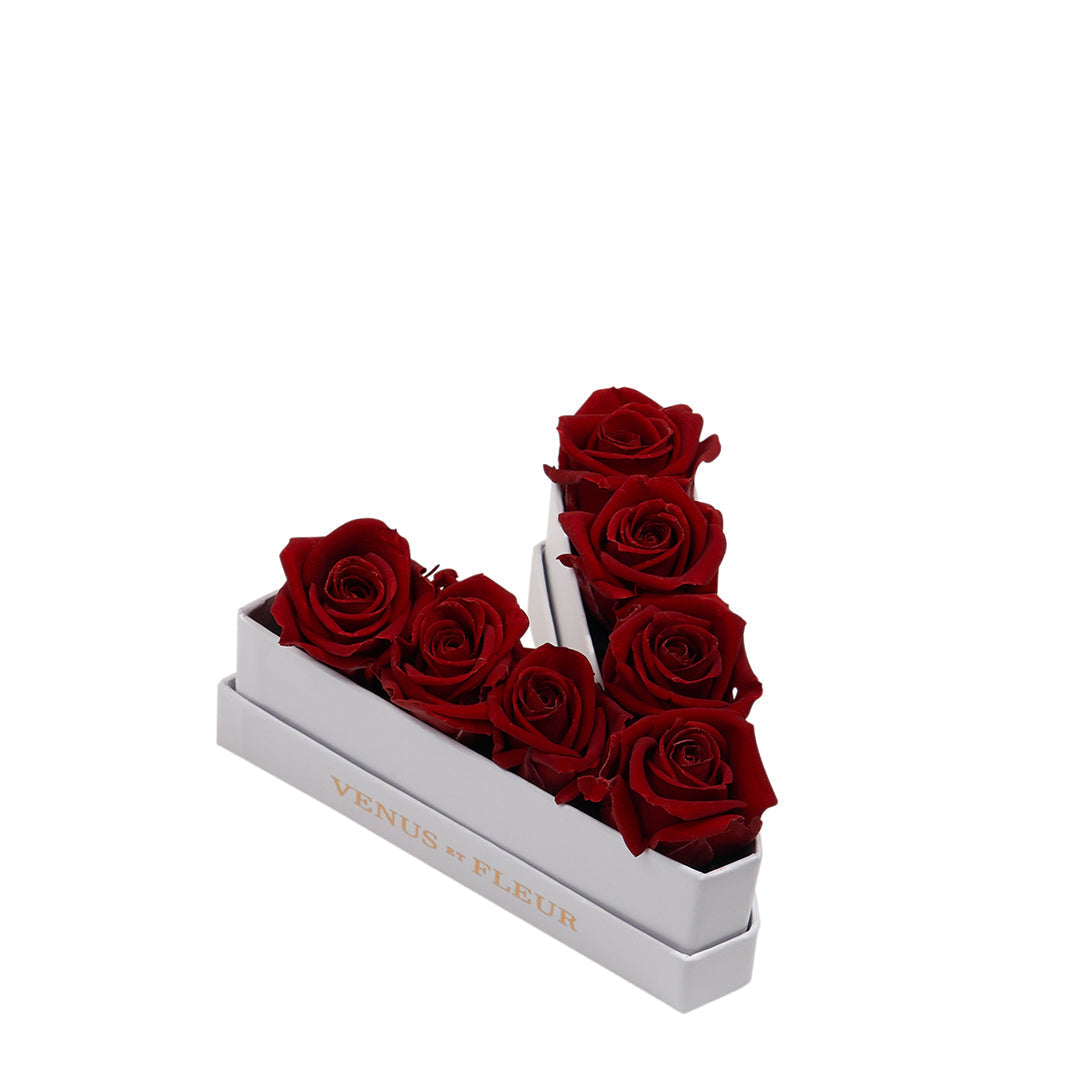 Le Mini Letter - V