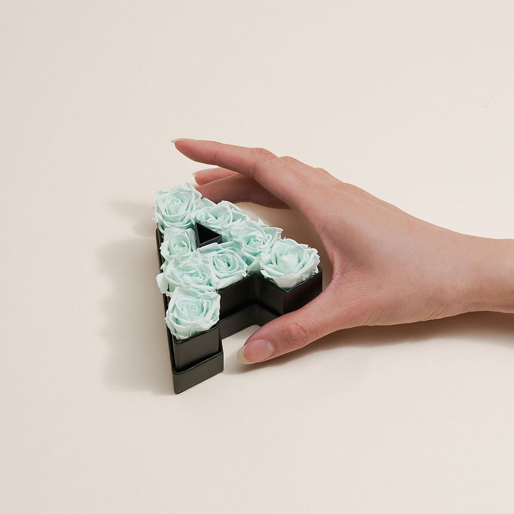Le Mini Letter - V