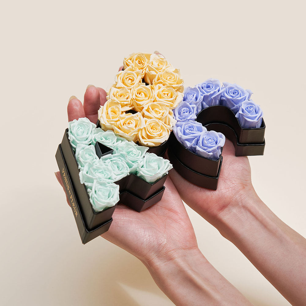 Le Mini Letter - V