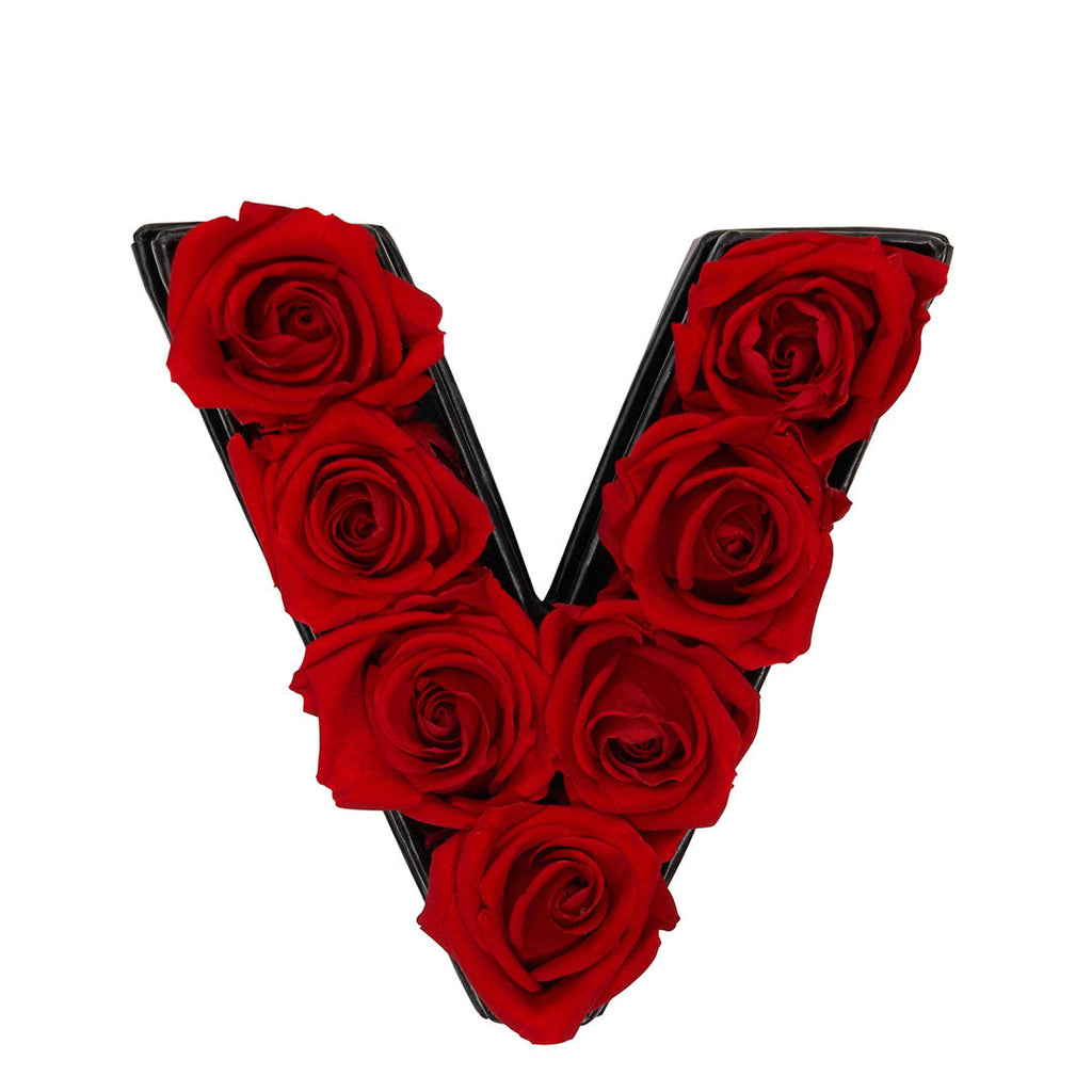 Le Mini Letter - V