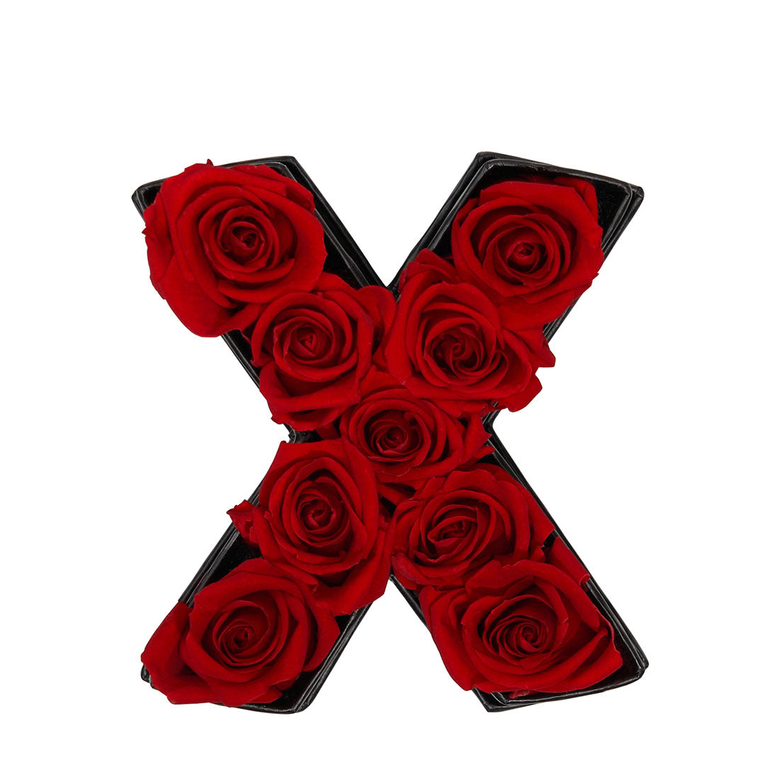 Le Mini Letter - X