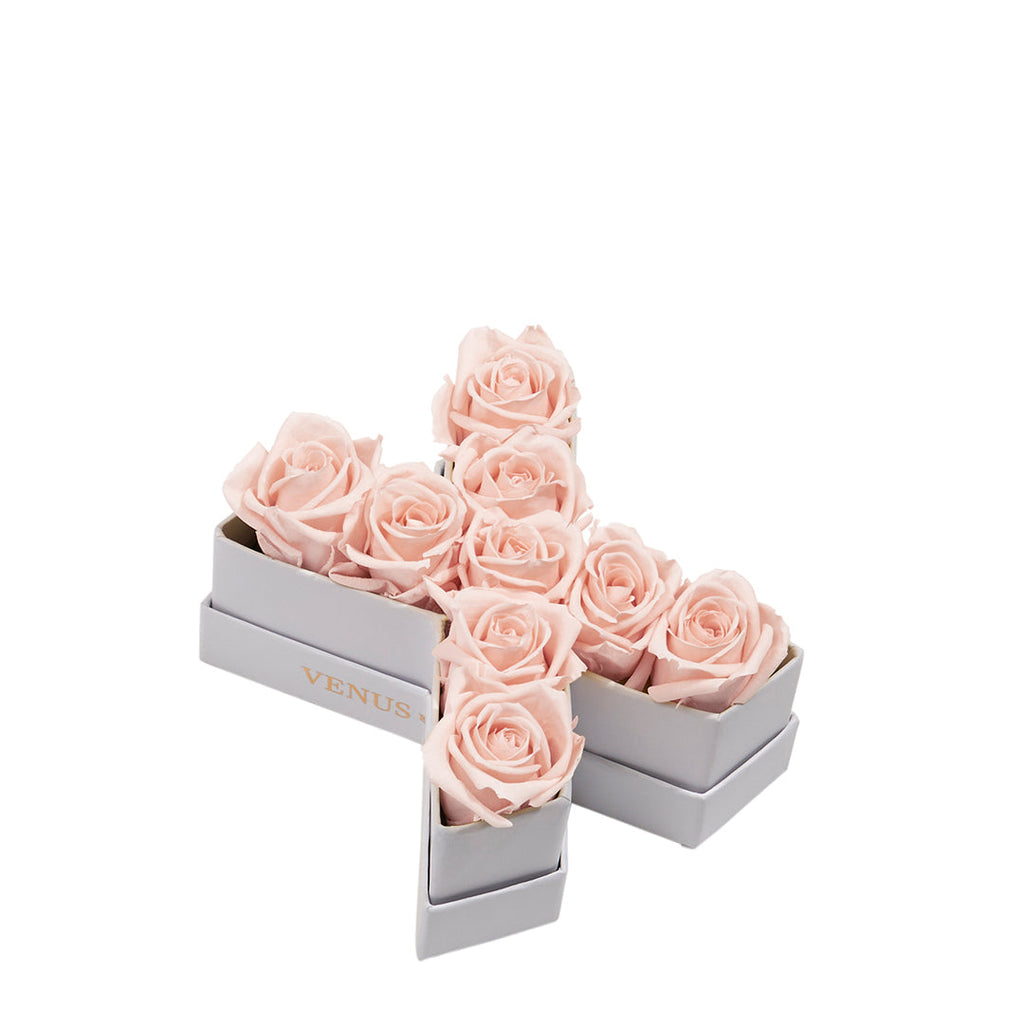Le Mini Letter - X